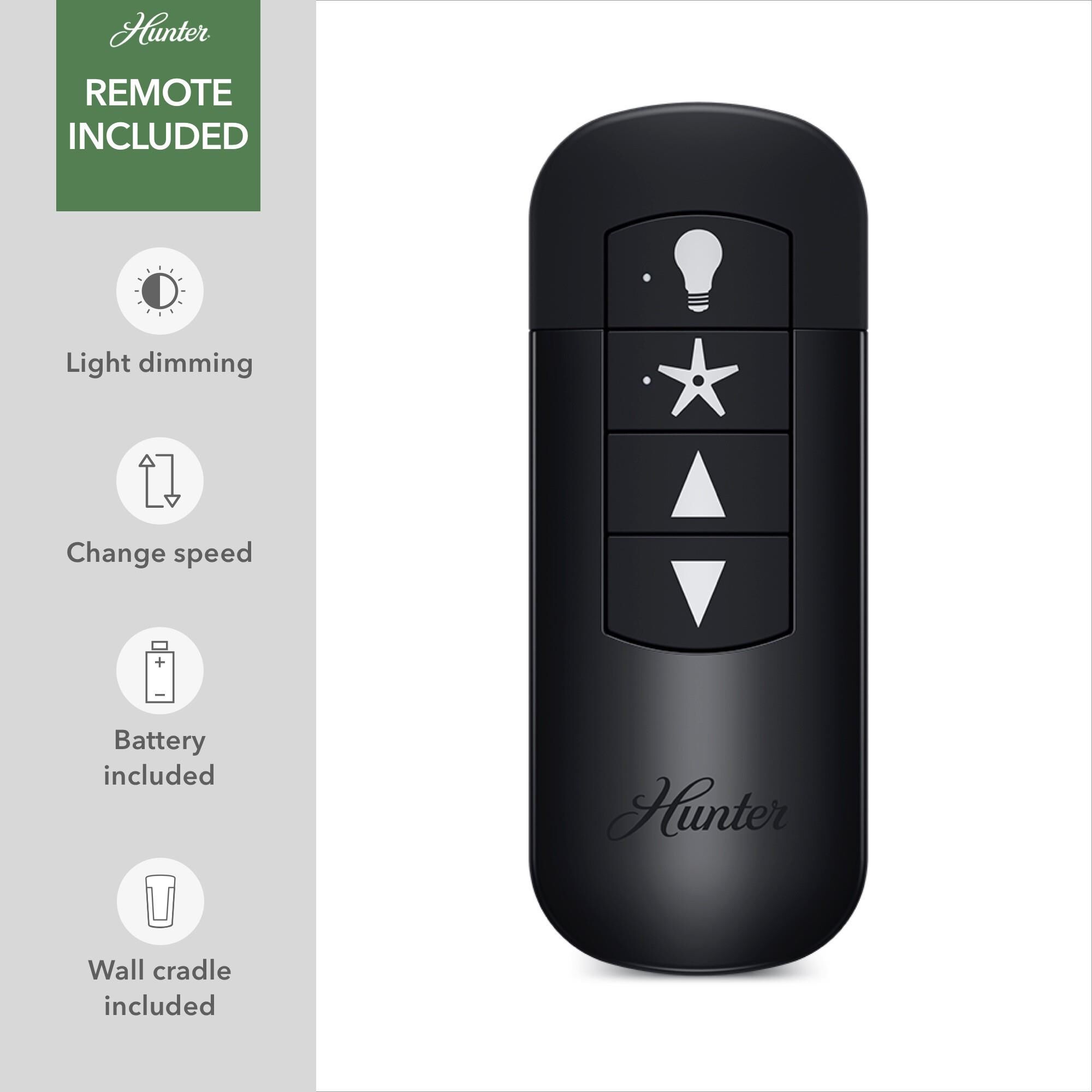 Gilmour Flush Mount Fan by Hunter Fan