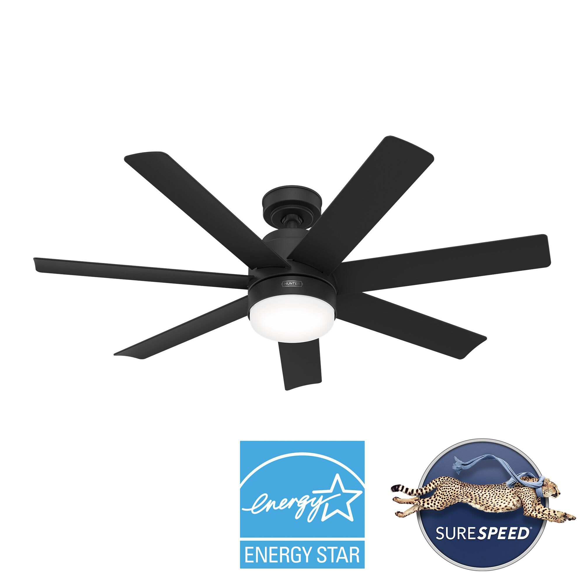 Brazos 52 Inch Ceiling Fan by Hunter Fan
