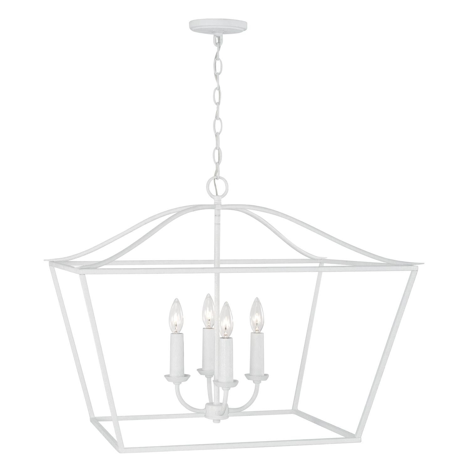Grady 38 Inch Cage Pendant by Capital Lighting Fixture Company