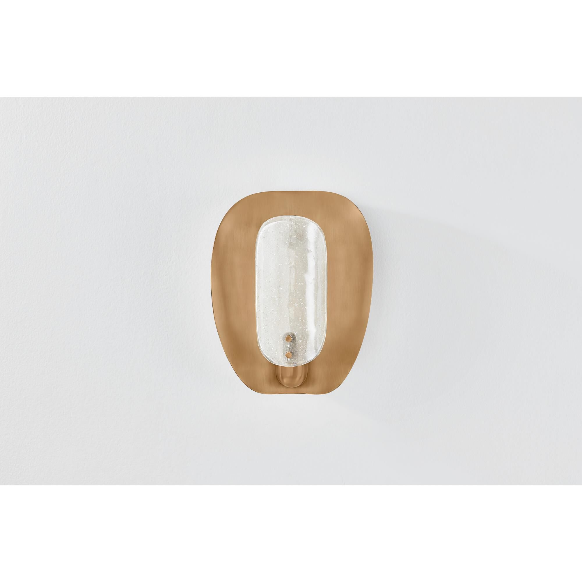 Adler 10 Inch Wall Sconce by Troy Lighting