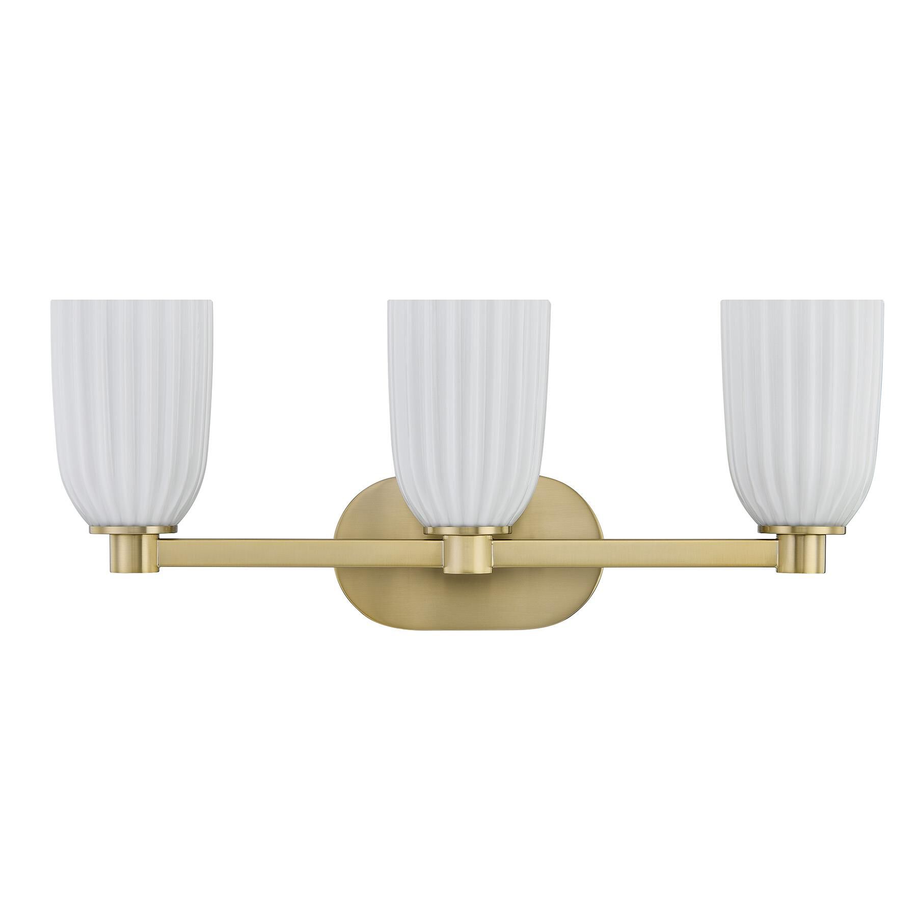 Baldwin 23 Inch Bath Vanity Light by Savoy House
