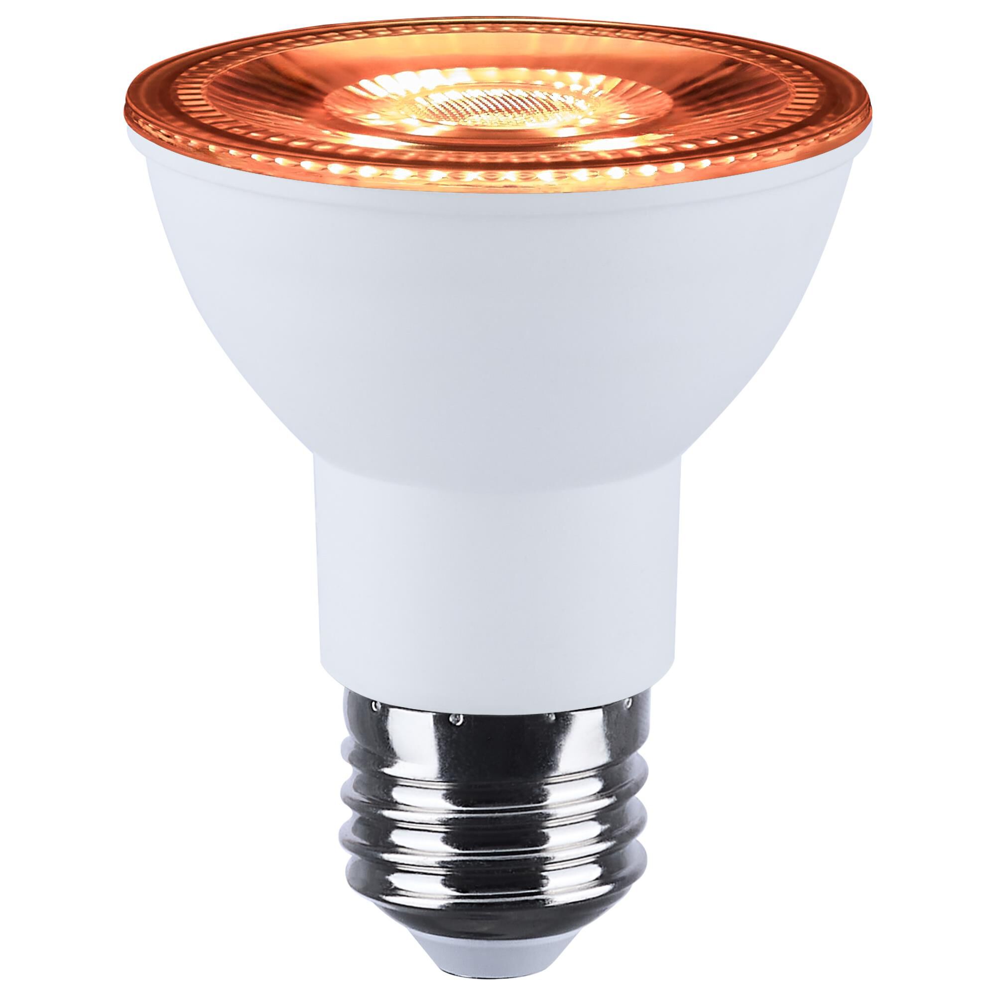 Dimmable 6 Watt 2700K PAR20 LED Light Bulb,