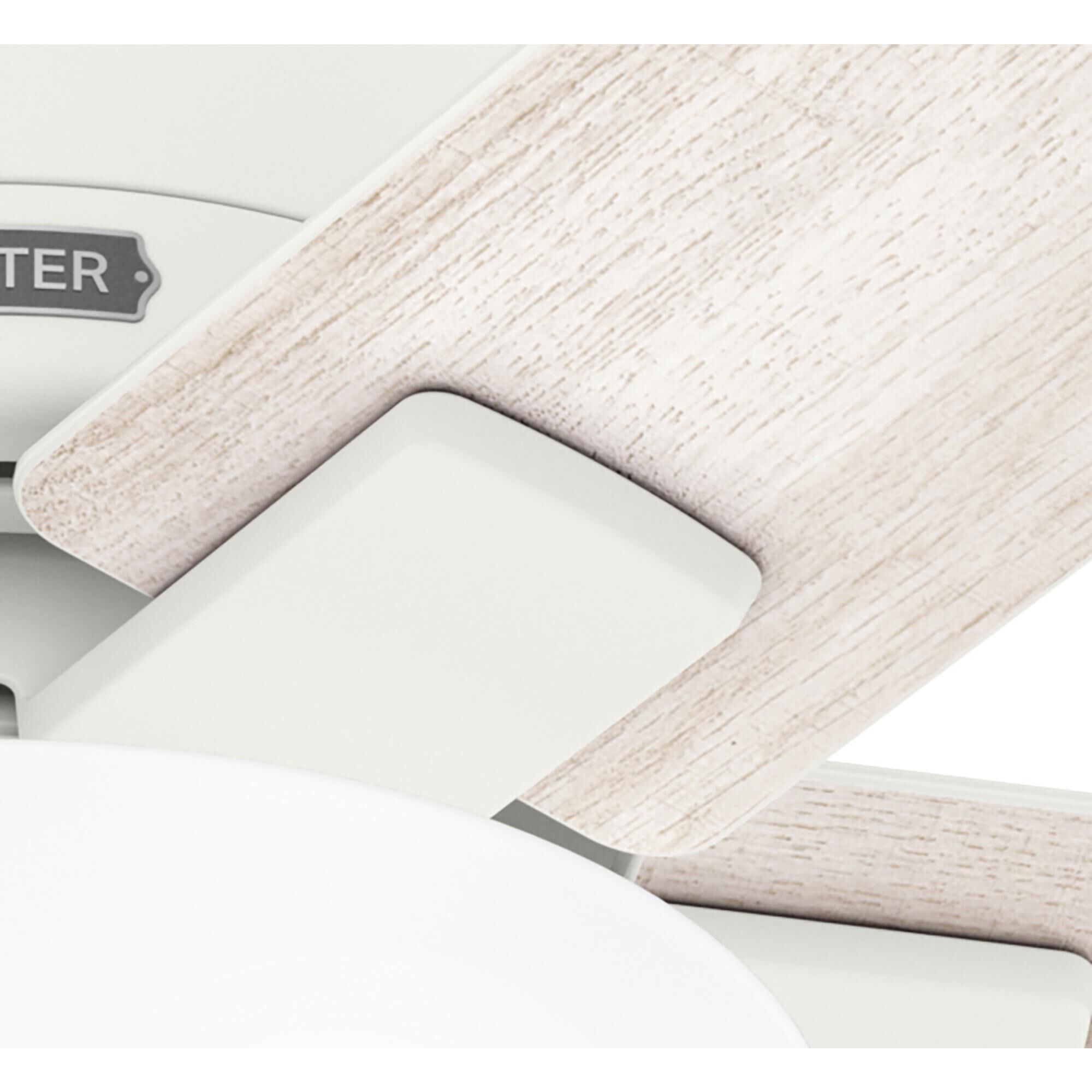 Fitzgerald Ceiling Fan by Hunter Fan