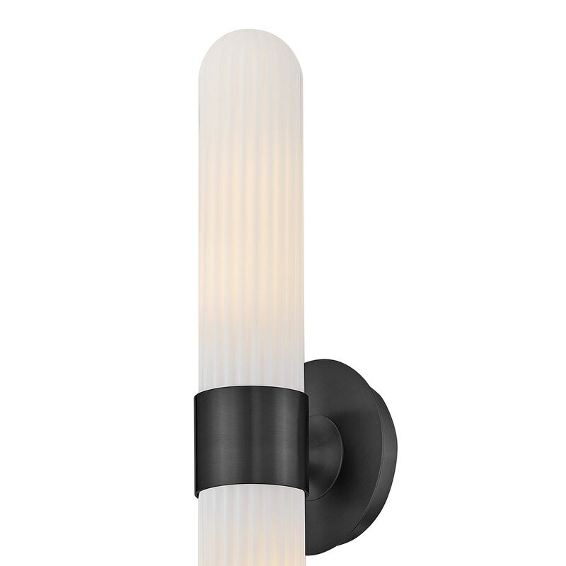Nina 24 Inch 2 Light Bath Vanity Light by Hinkley