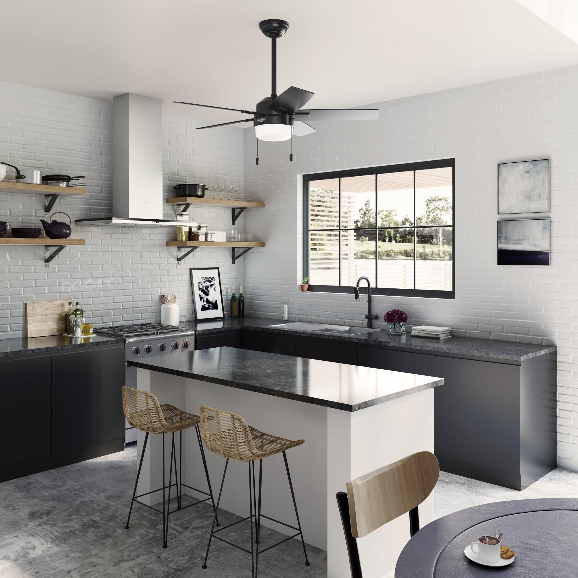 Anisten 44 Inch Ceiling Fan with Light Kit by Hunter Fan