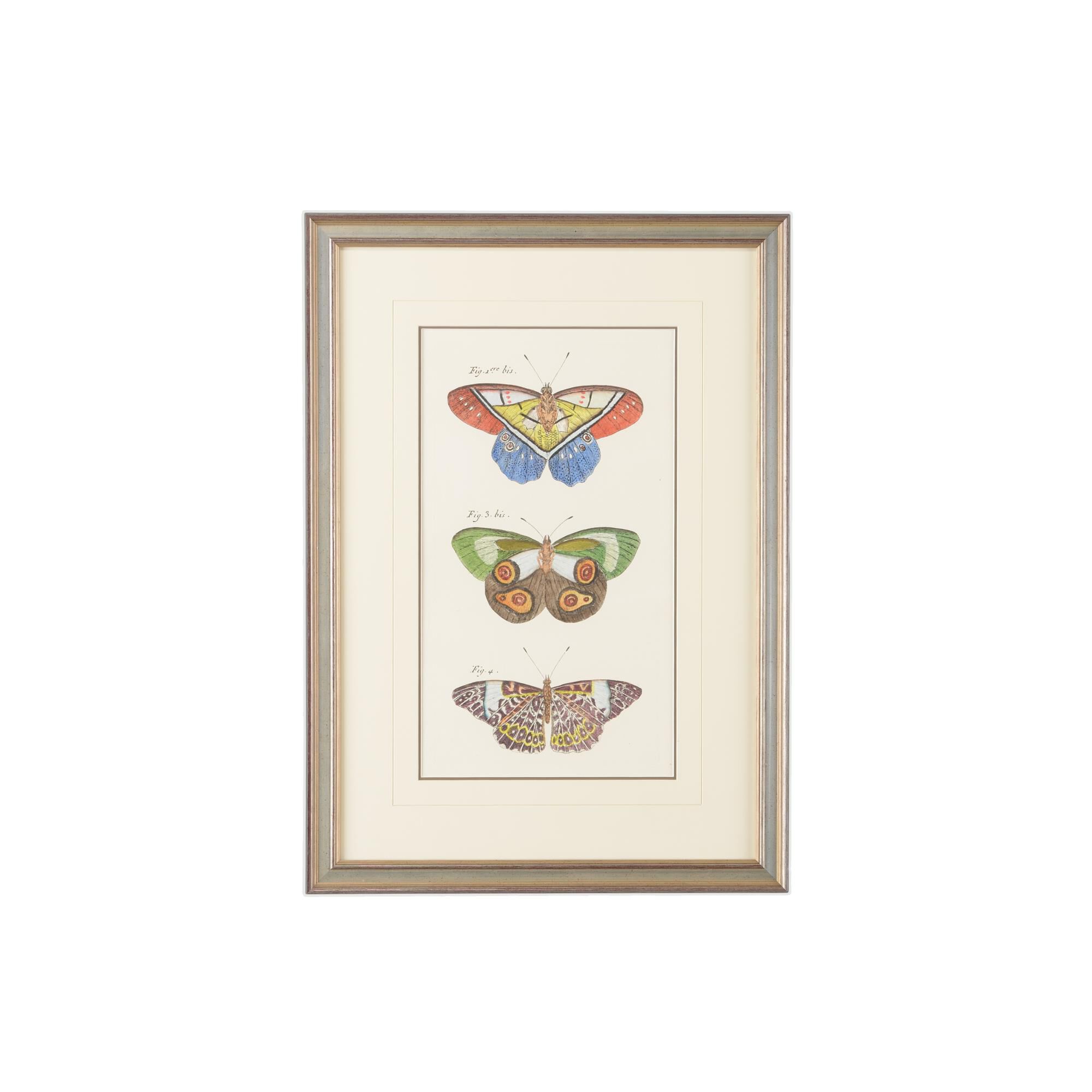 VERTICAL BUTTERFLY IV Print by Chelsea House
