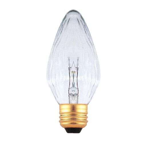 25 Watt Incandescent Light Bulb by Bulbrite
