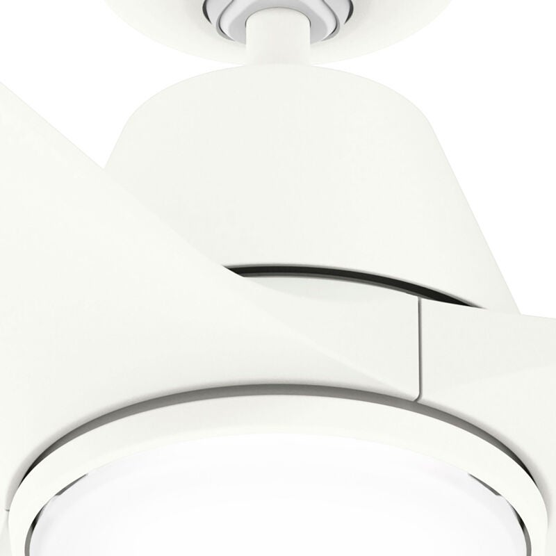 Bolsa 60 Inch Ceiling Fan with Light Kit by Hunter Fan
