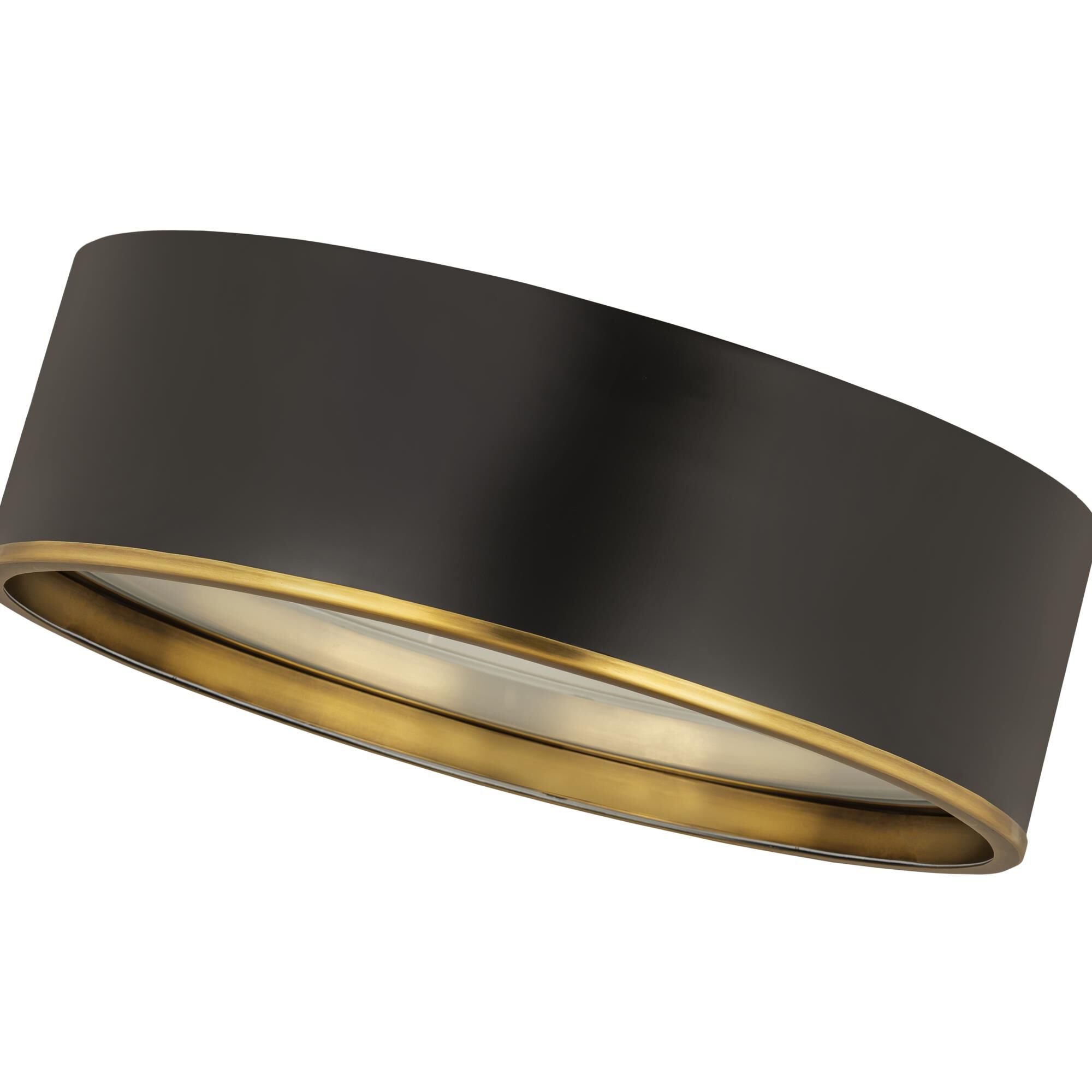 Shown in Matte Black And Rubbed Brass finish and Steel glass and Steel shade