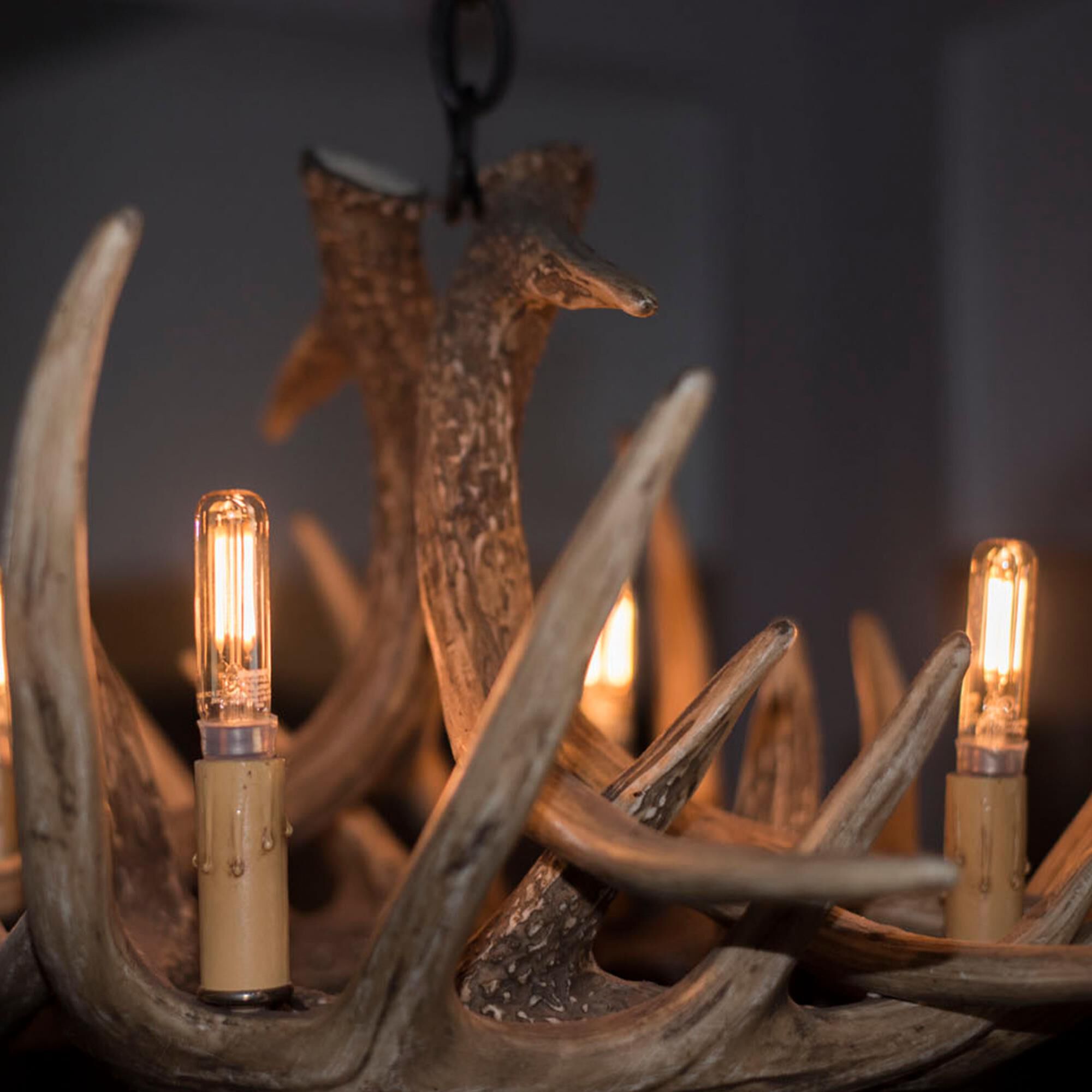 Dimmable 2.50 Watt 2700K T6 LED Light Bulb by Bulbrite