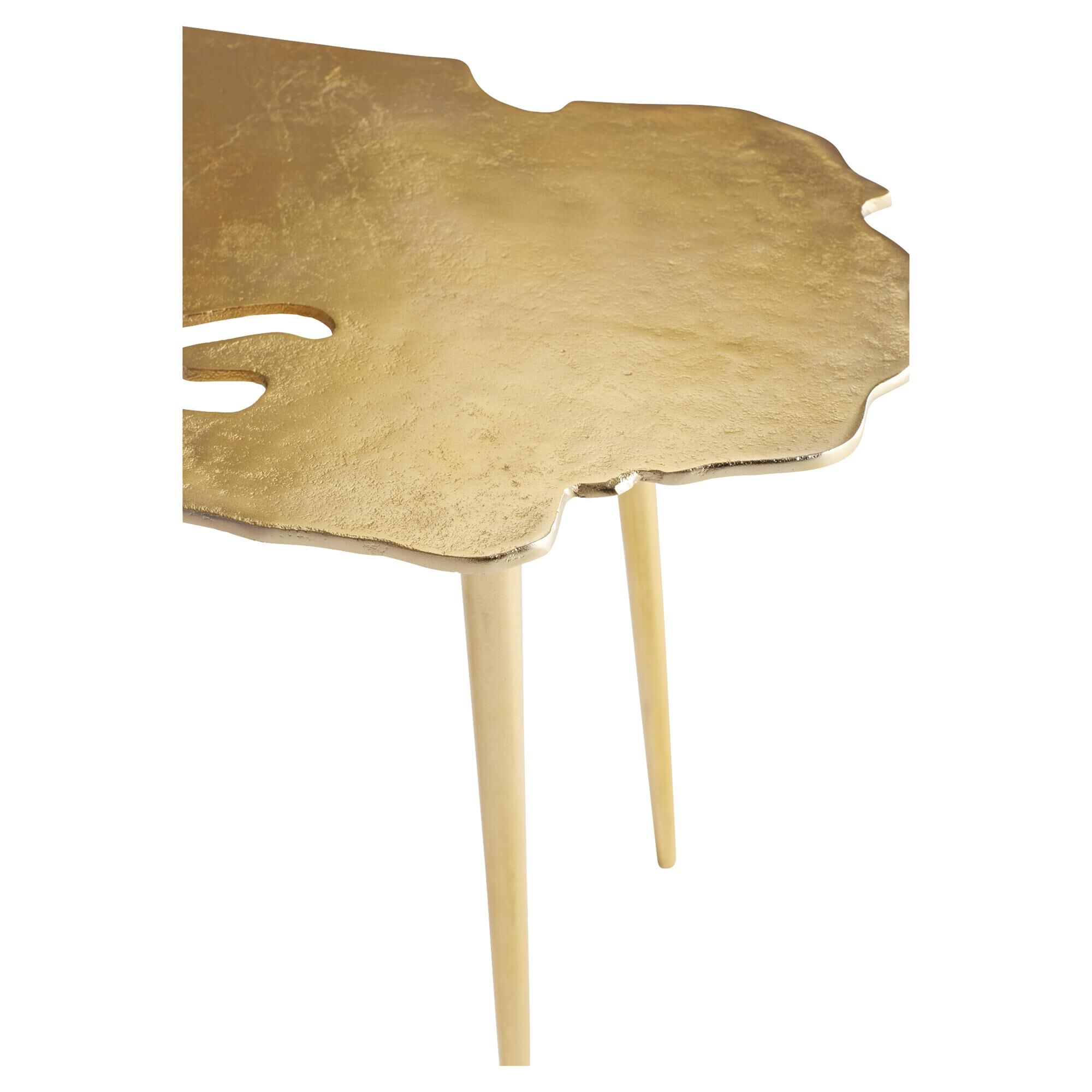 Atlas Coffee Table by Cyan Designs