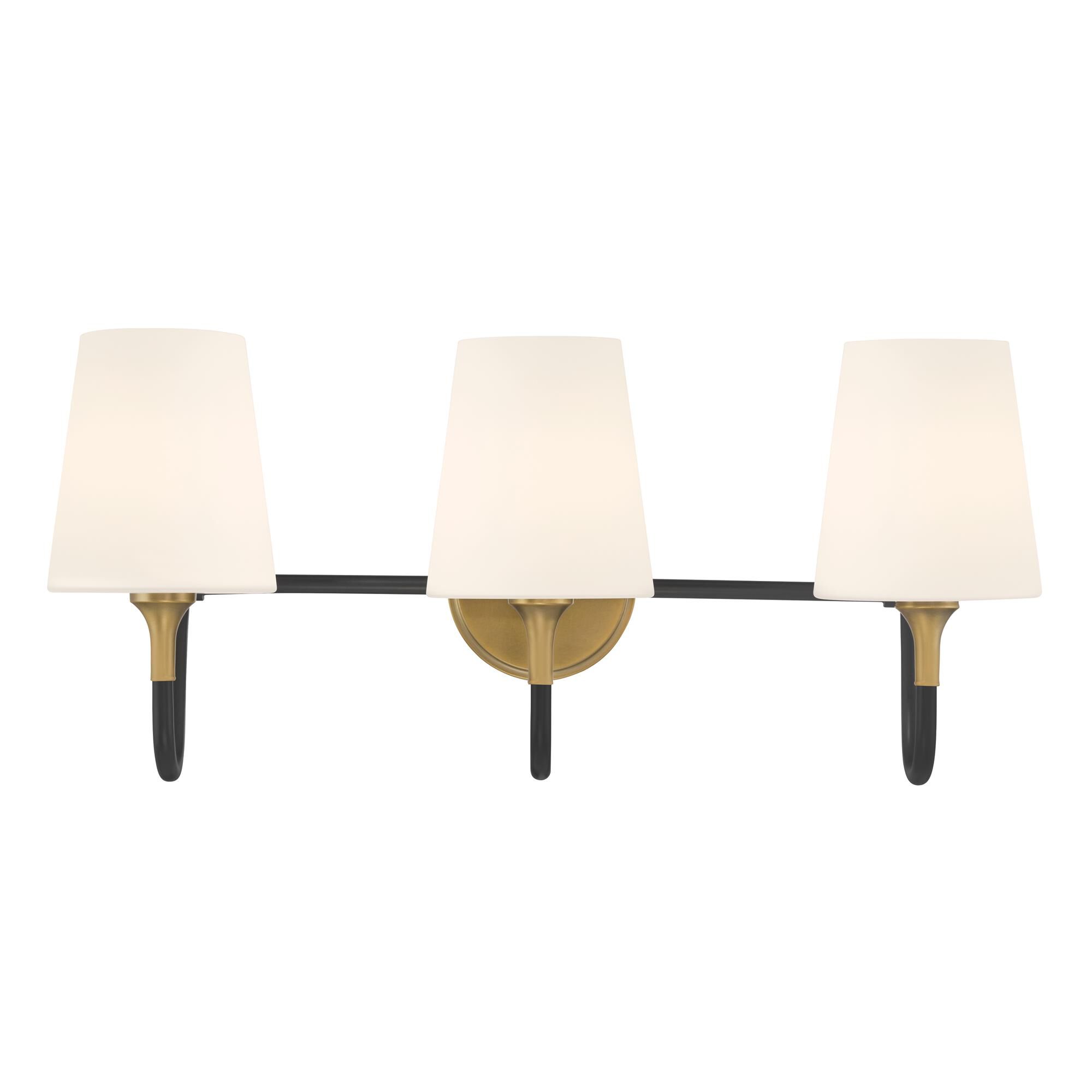 Brienne 25 Inch Bath Vanity Light by Minka Lavery