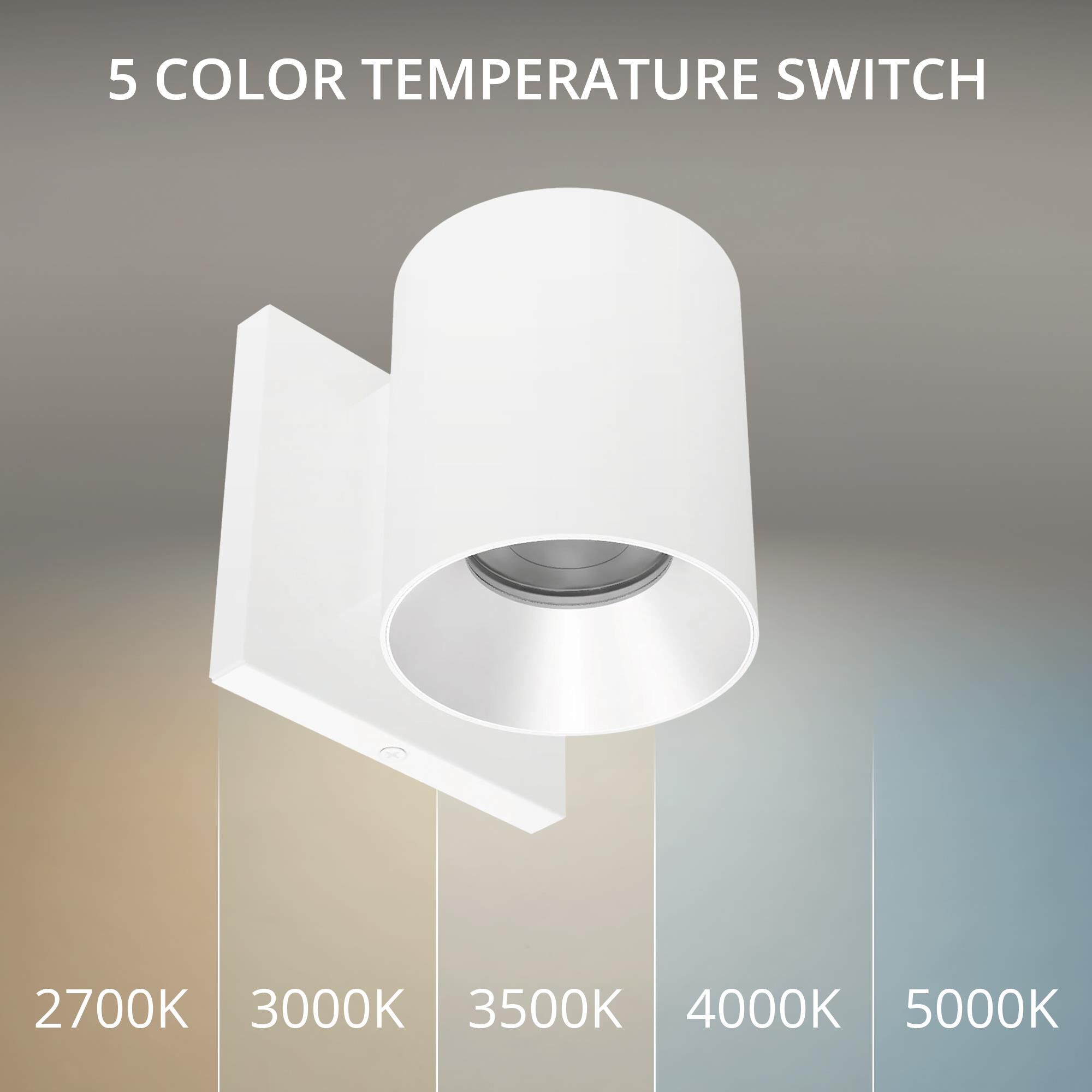 Zoron 4 Inch Outdoor Wall Light by WAC Lighting