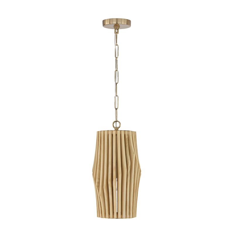 Archer 9 Inch Mini Pendant by Capital Lighting