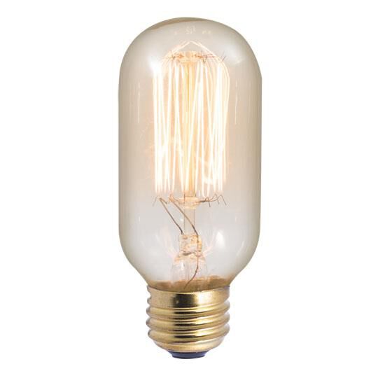 40 Watt 2200K T14 Incandescent Light Bulb,