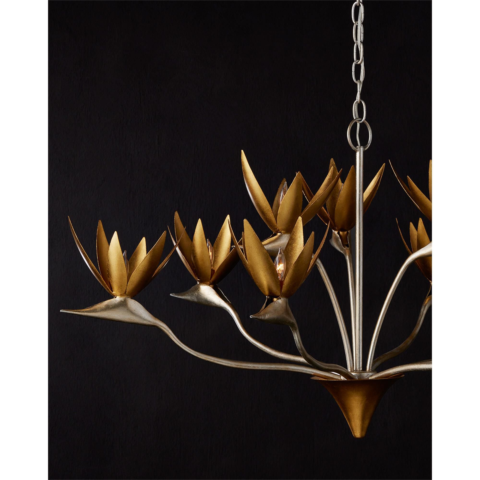 Paradiso 39 Inch 9 Light Chandelier,