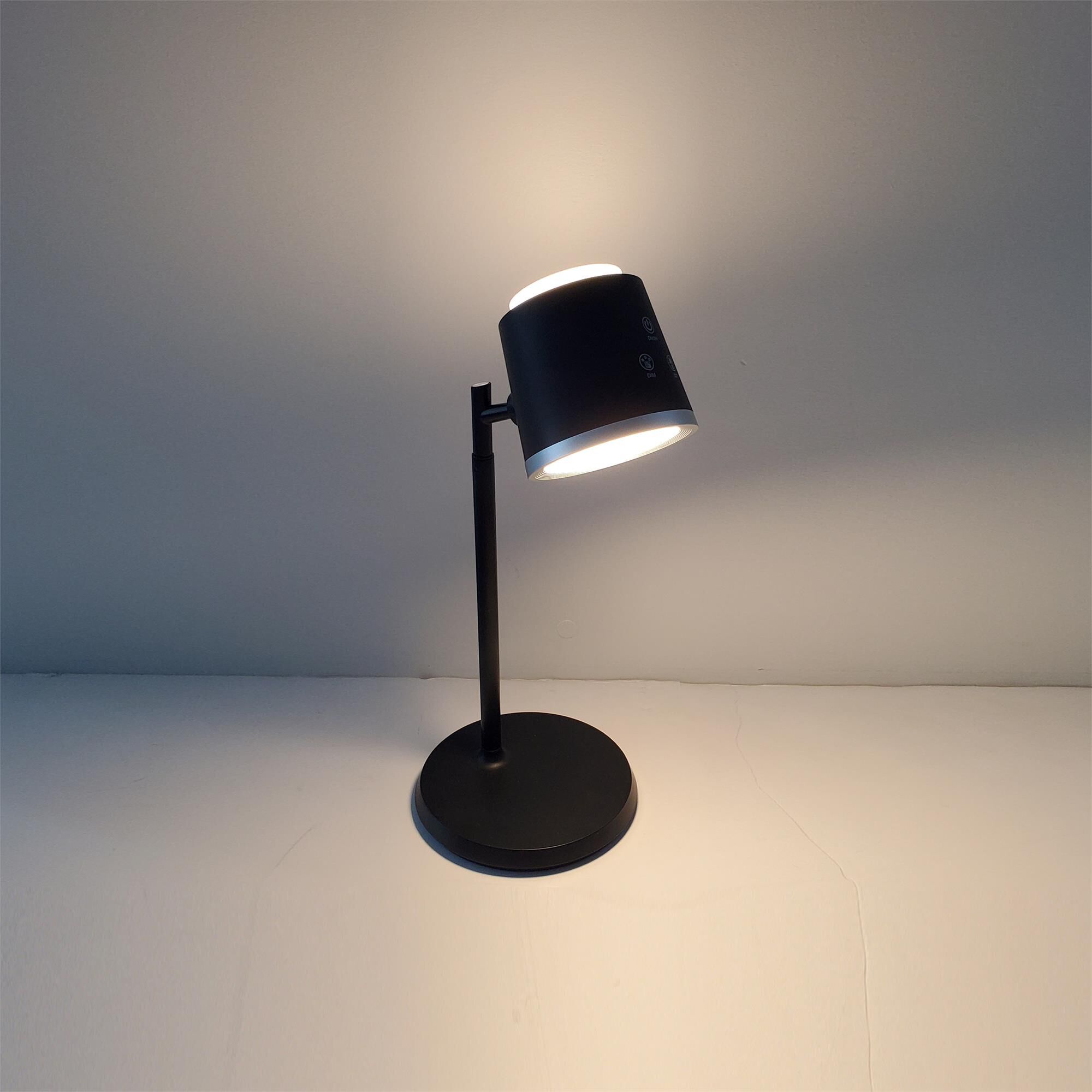 Tram 14 Inch Desk Lamp by Dainolite
