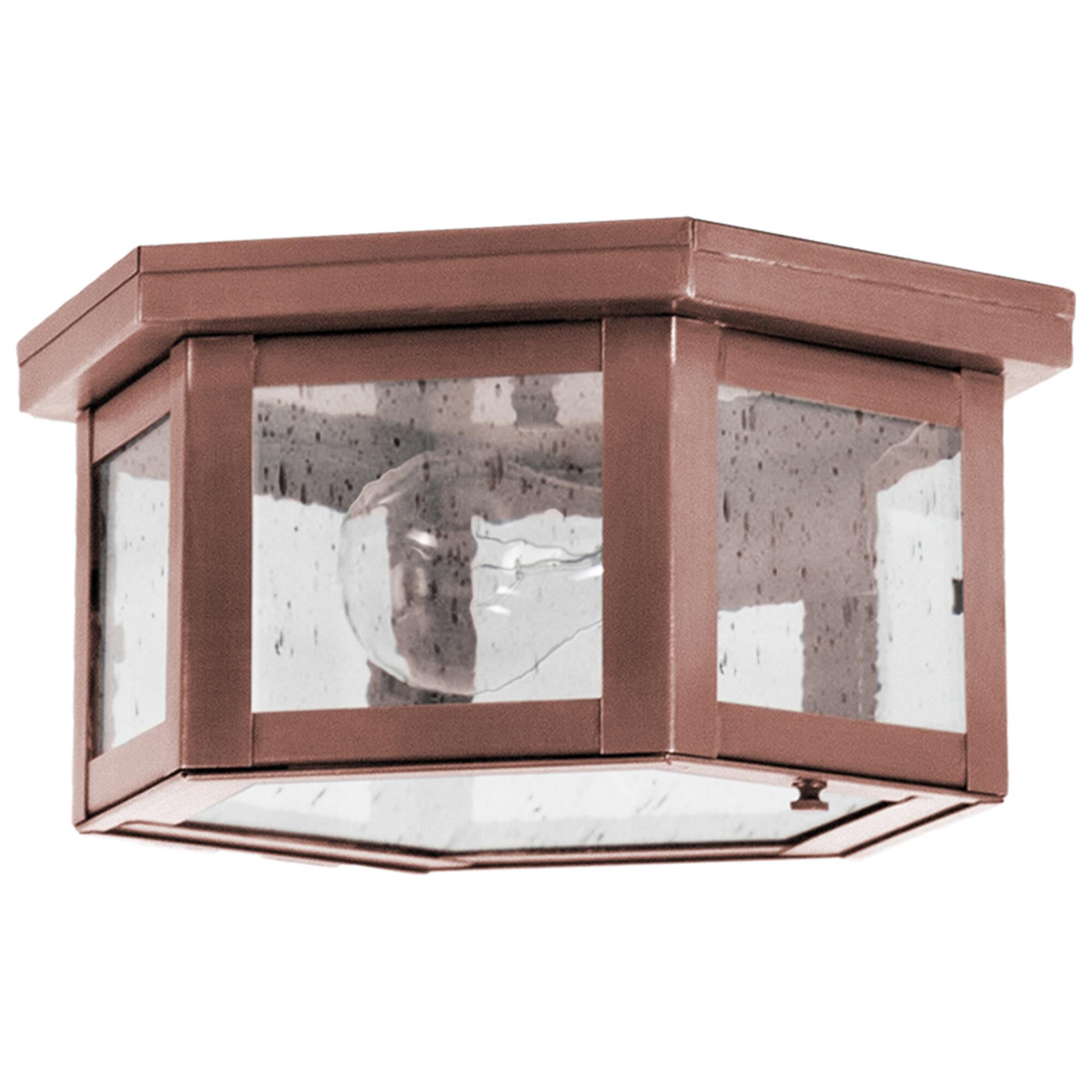 Williams 10 Inch Outdoor Flush Mount,