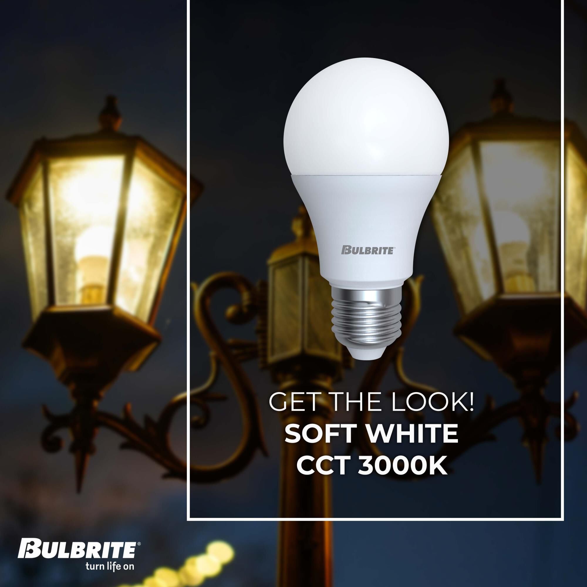 9 Watt 3000K A19 LED Light Bulb by Bulbrite