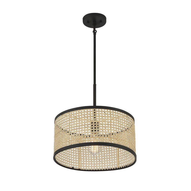 Meridian Lighting 16 Inch LED Large Pendant