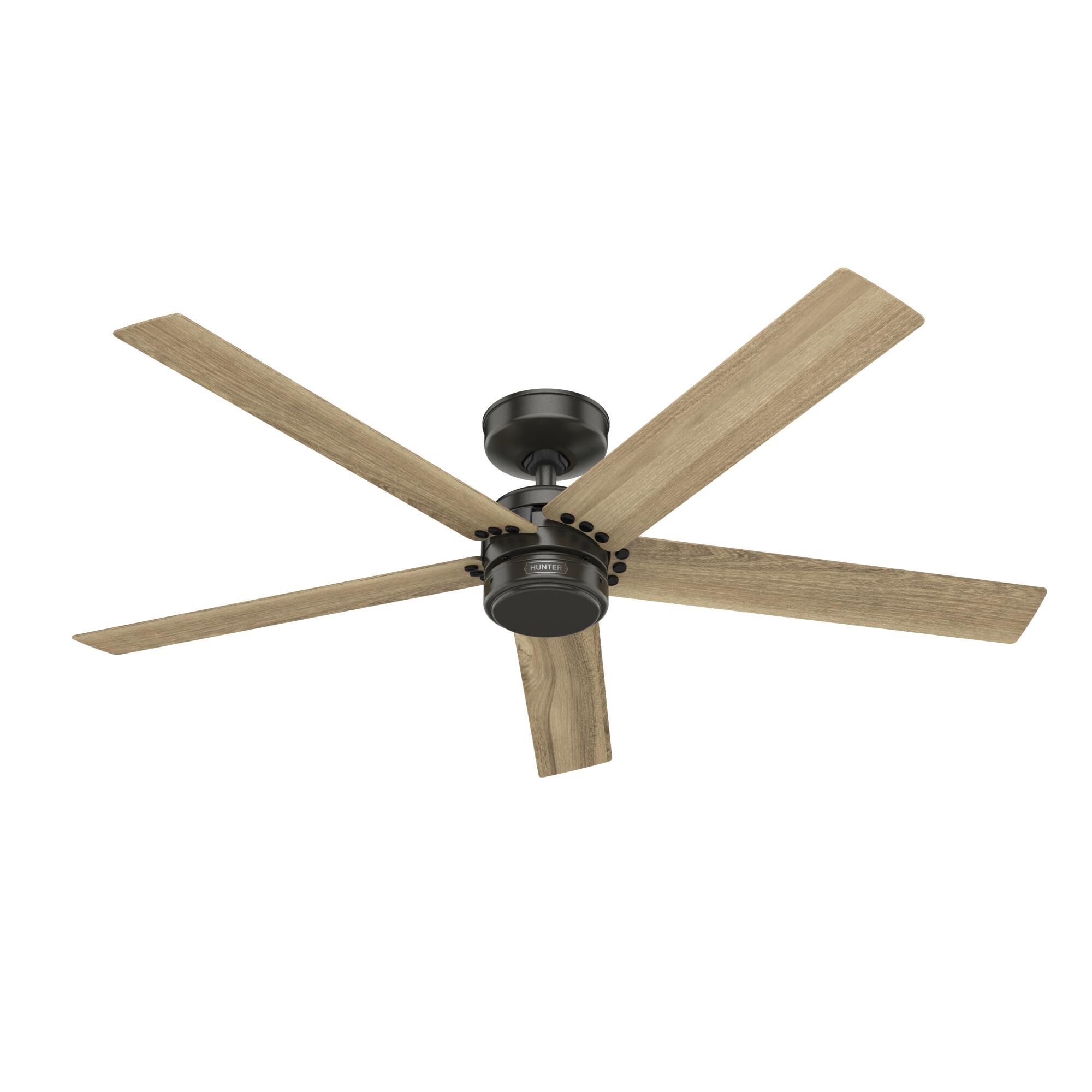 Burton Ceiling Fan by Hunter Fan