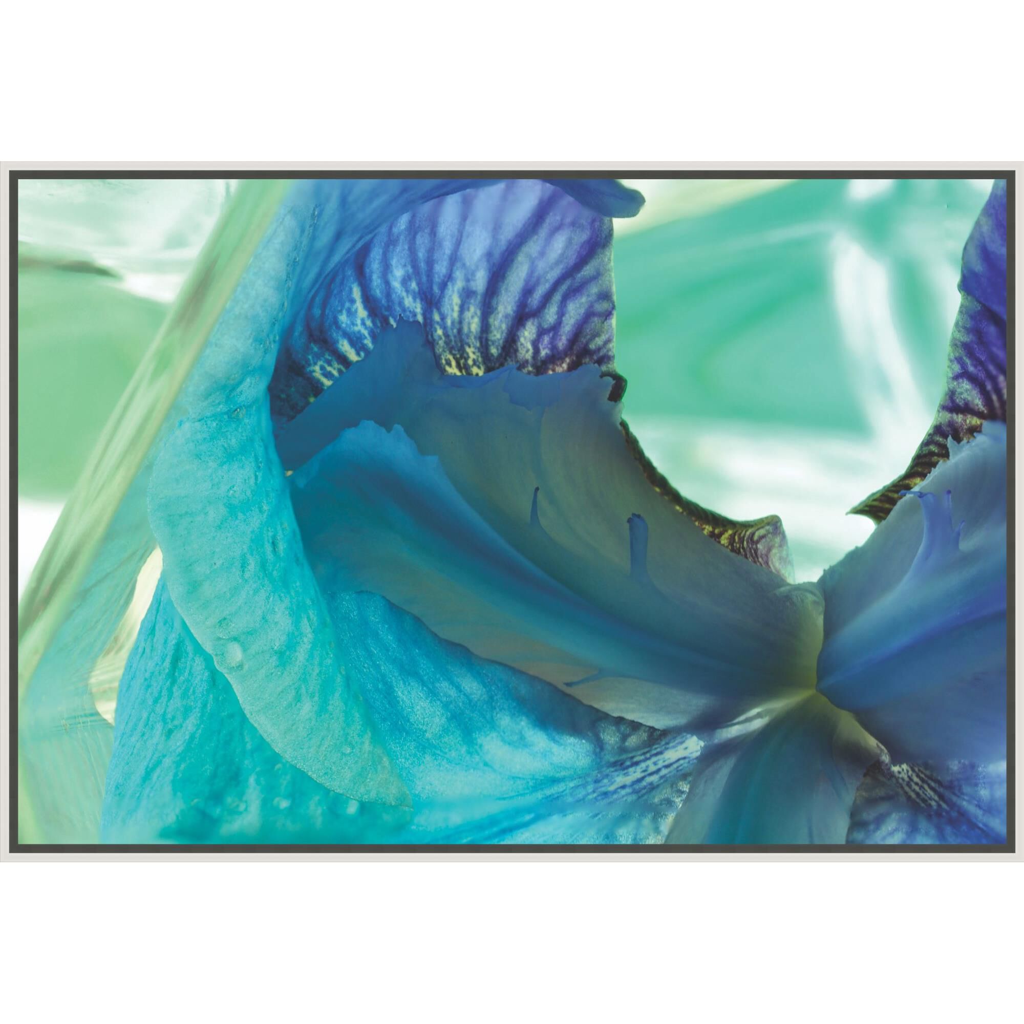 Prismatic Petals Print by LEVEL57