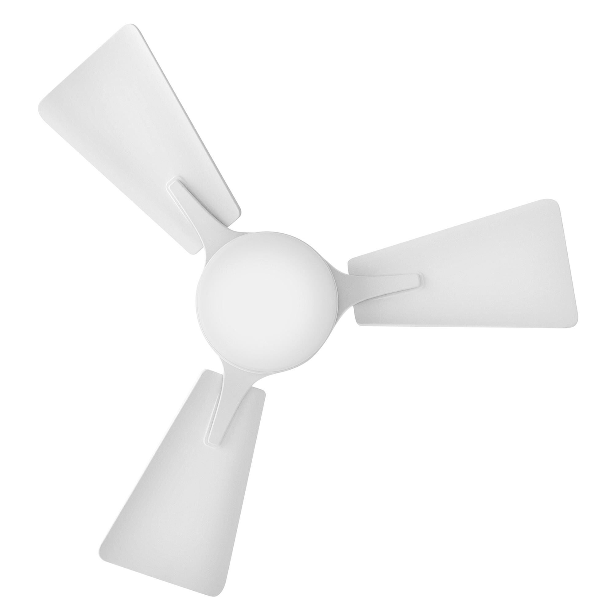 AlternateAngleImage