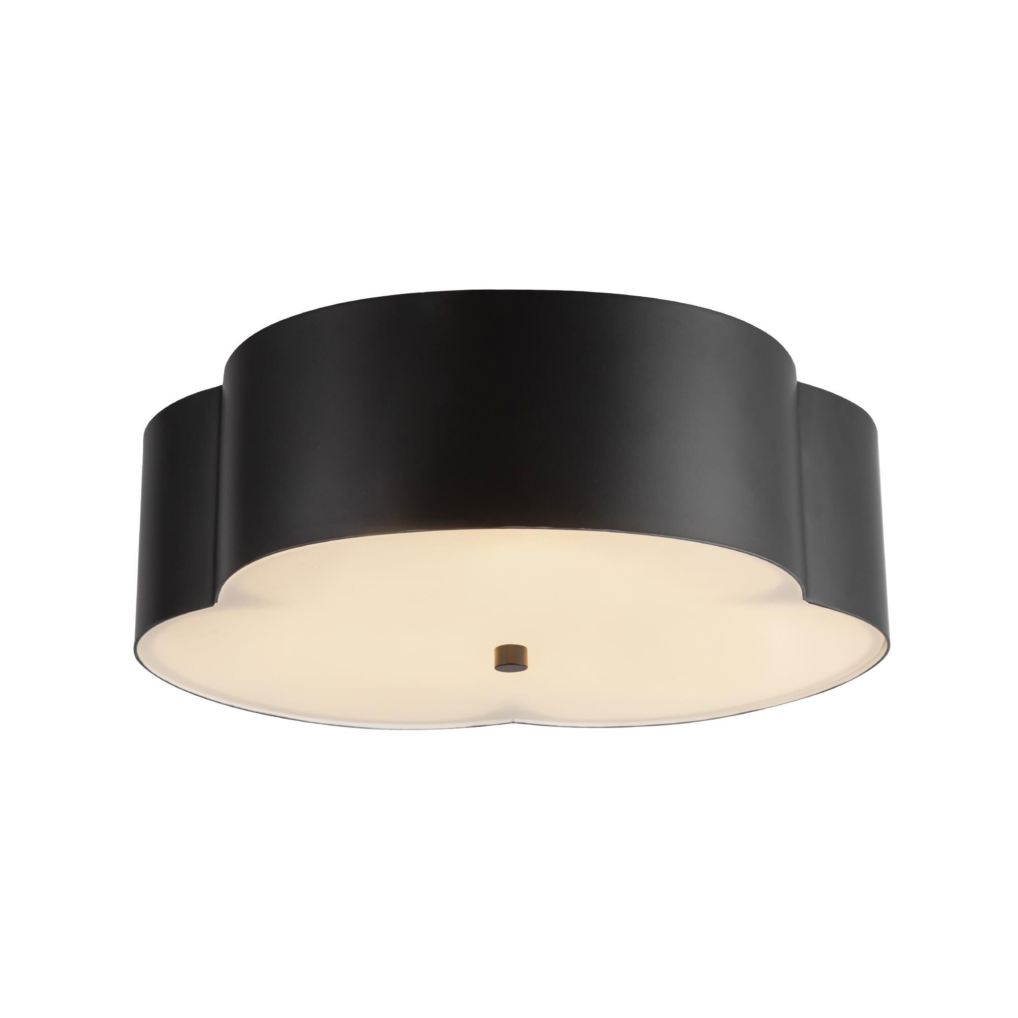 Shown in Matte Black finish and Frosted Diffuser glass