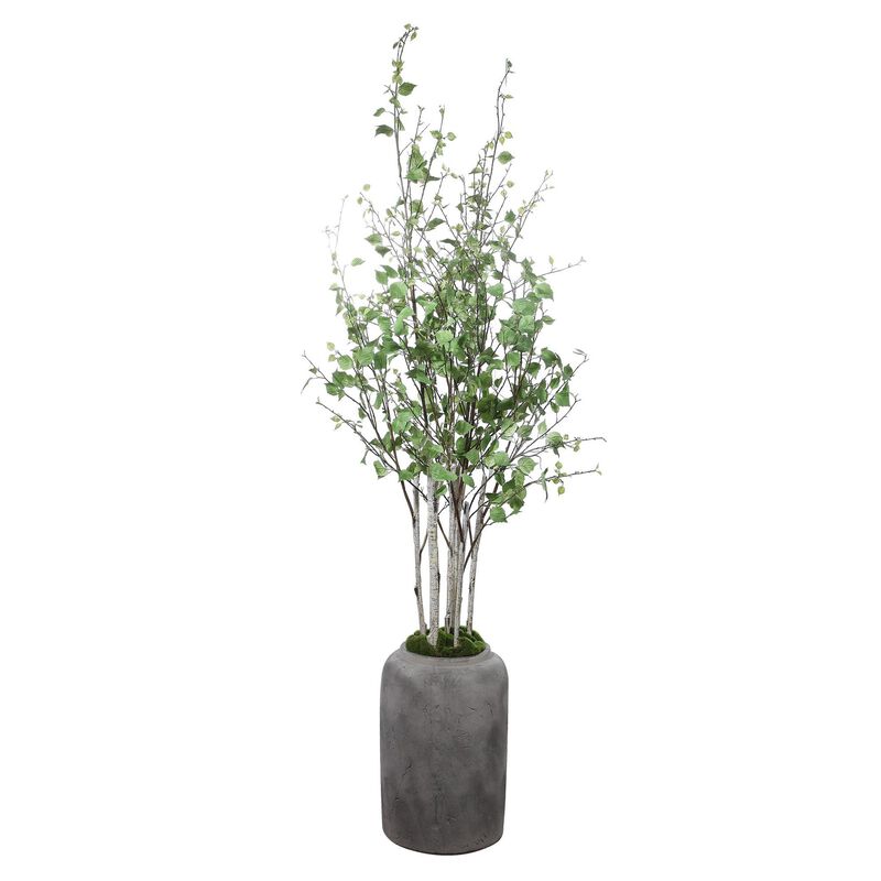 Aldis Botanical by Uttermost
