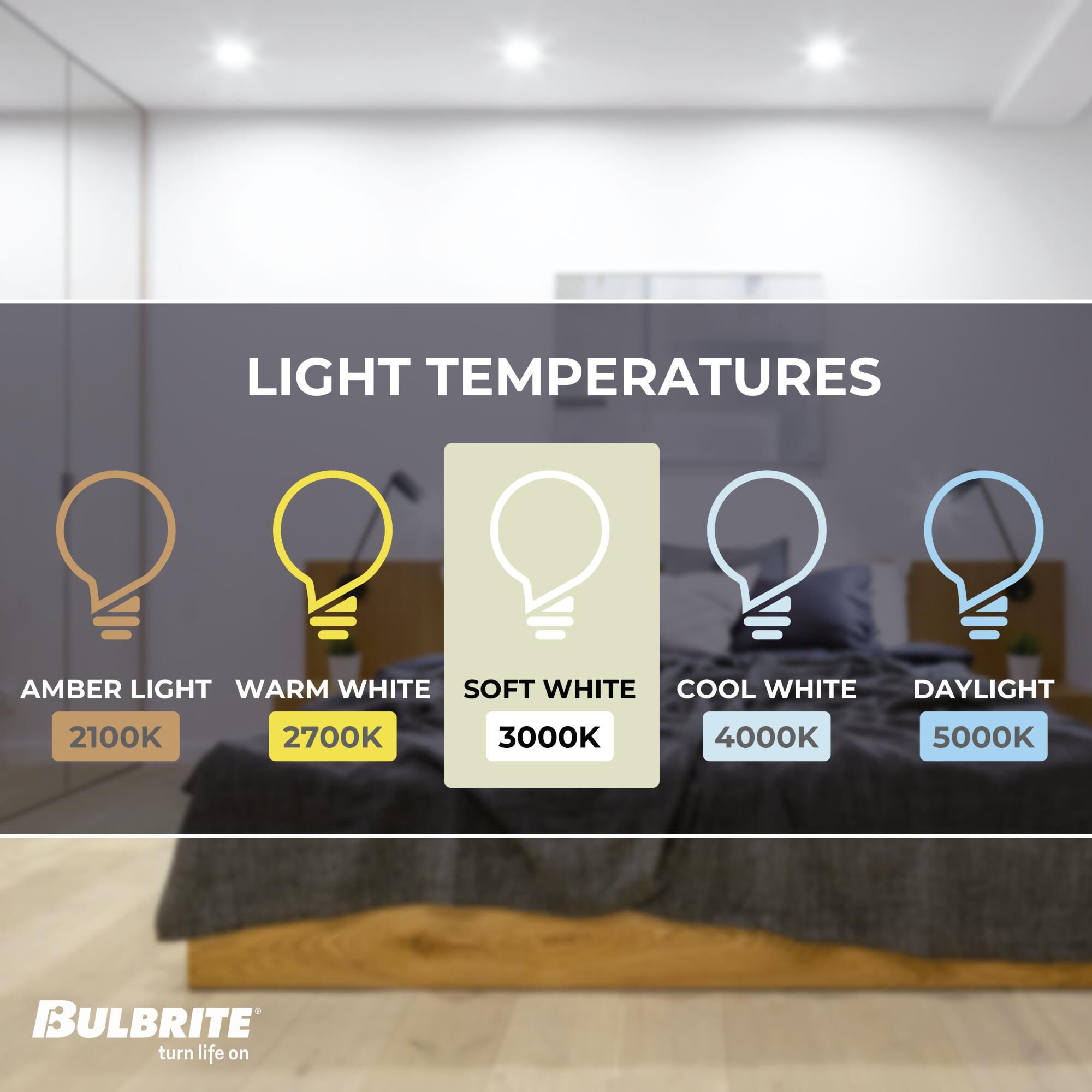 7 Watt 3000K PAR20 LED Light Bulb by Bulbrite