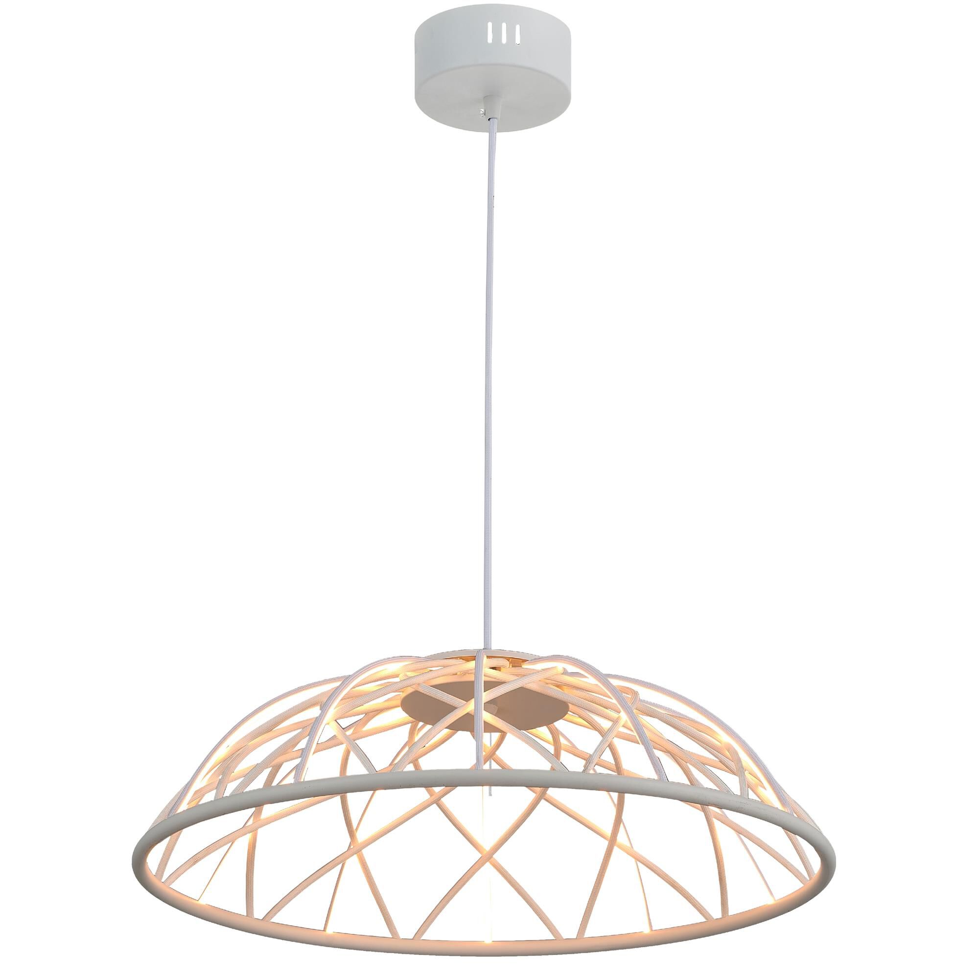 Pakuna 20 Inch Large Pendant by Dainolite