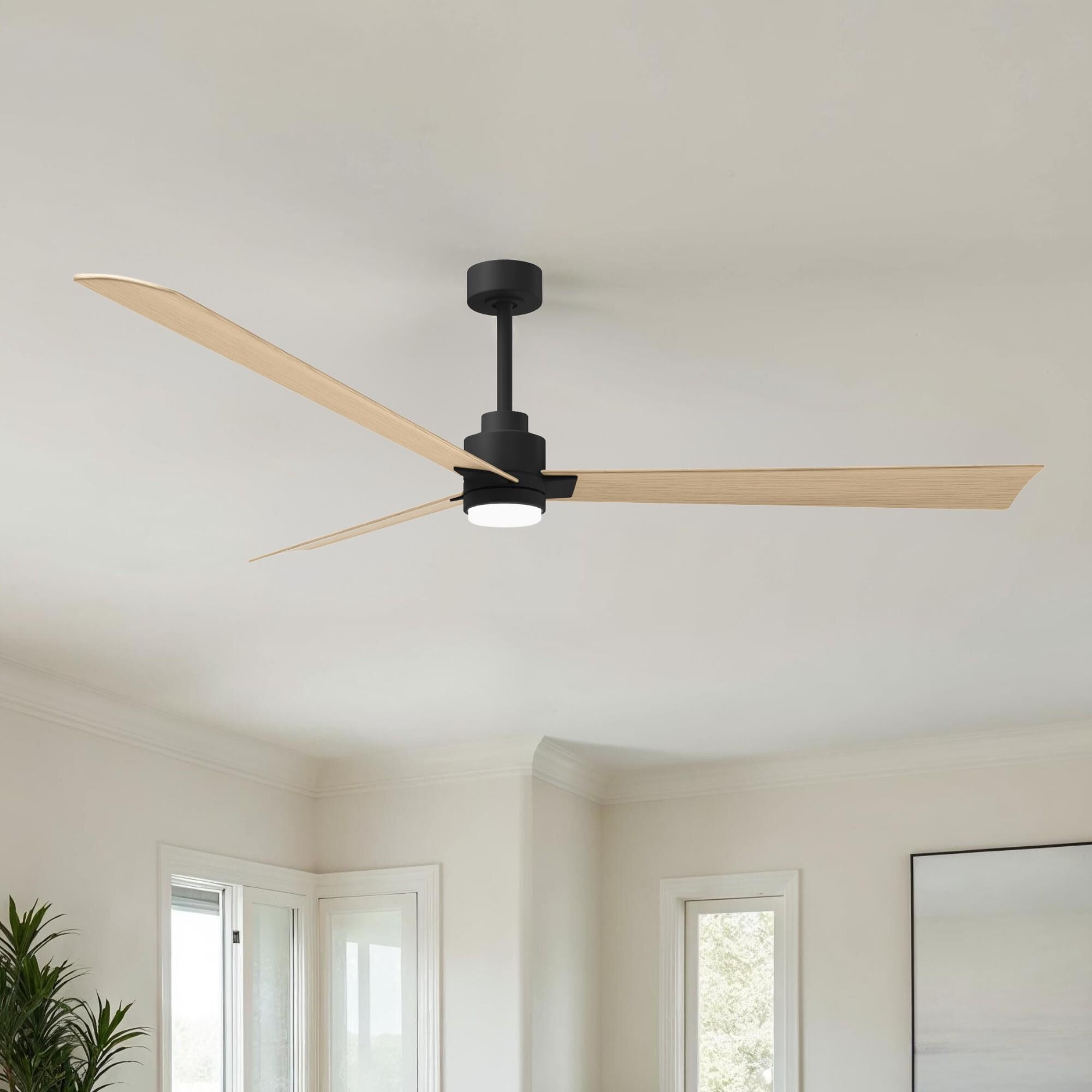 Alessandra 72 Inch Ceiling Fan by Matthews Fan Company