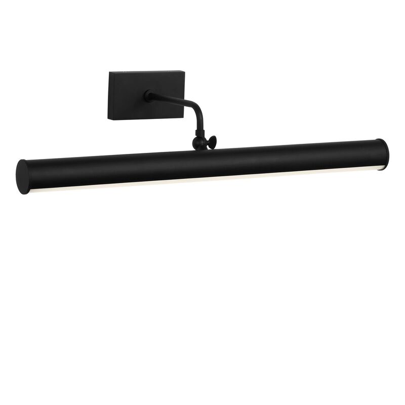 Loxen 24 Inch Picture and Display Light by Generation Lighting