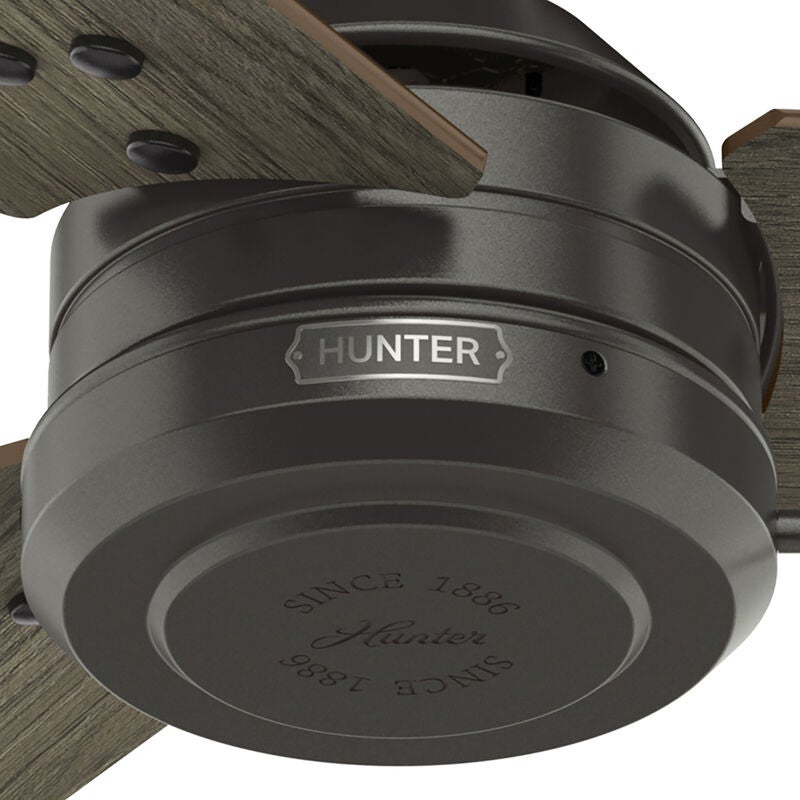 Cassius 44 Inch Ceiling Fan by Hunter Fan