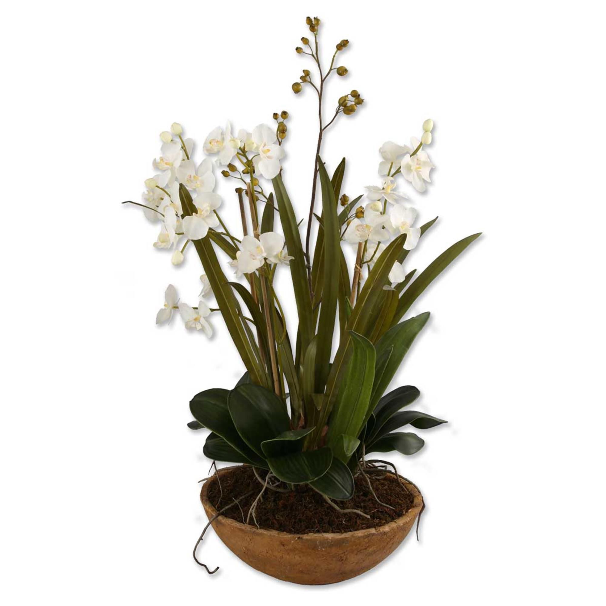 Shown in Handpainted-Natural Brown-White finish
