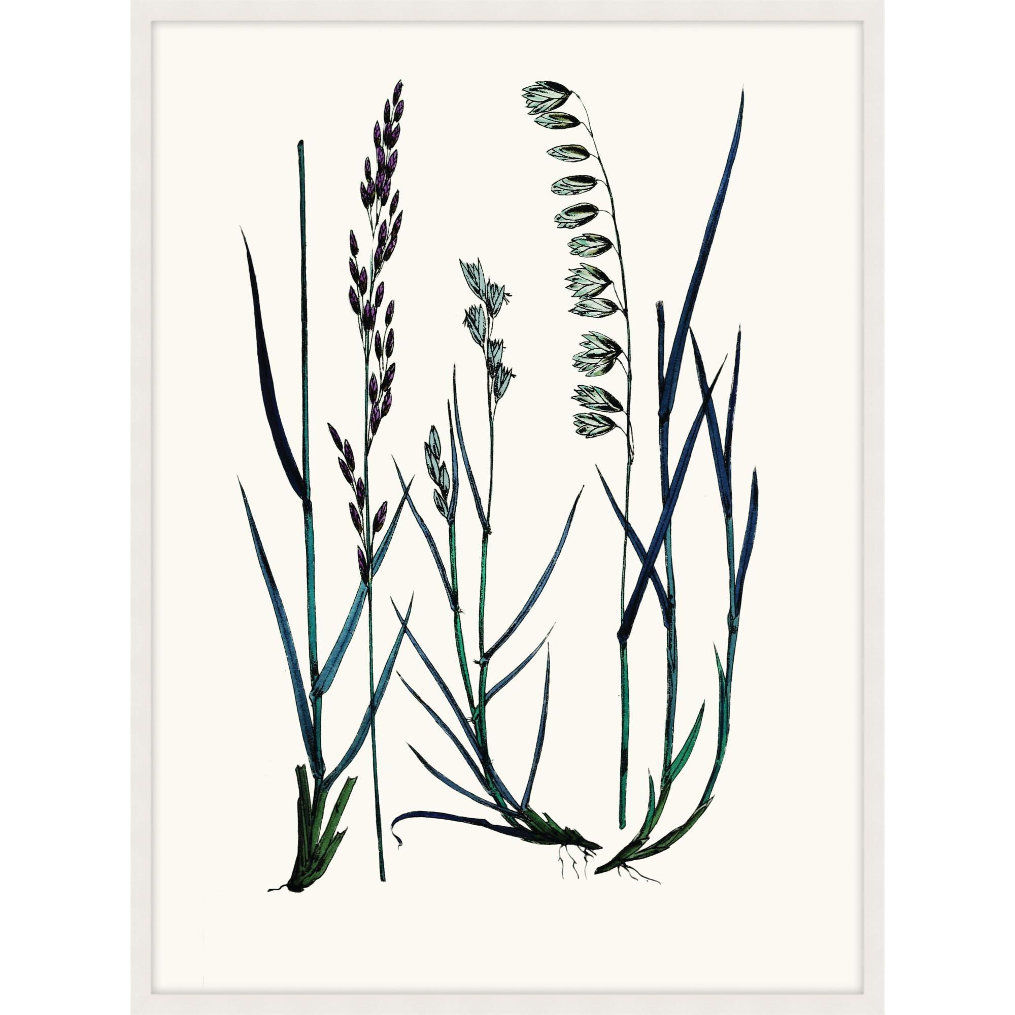 Studio L57 Nouvelle Careful In Contemplation Print by LEVEL57