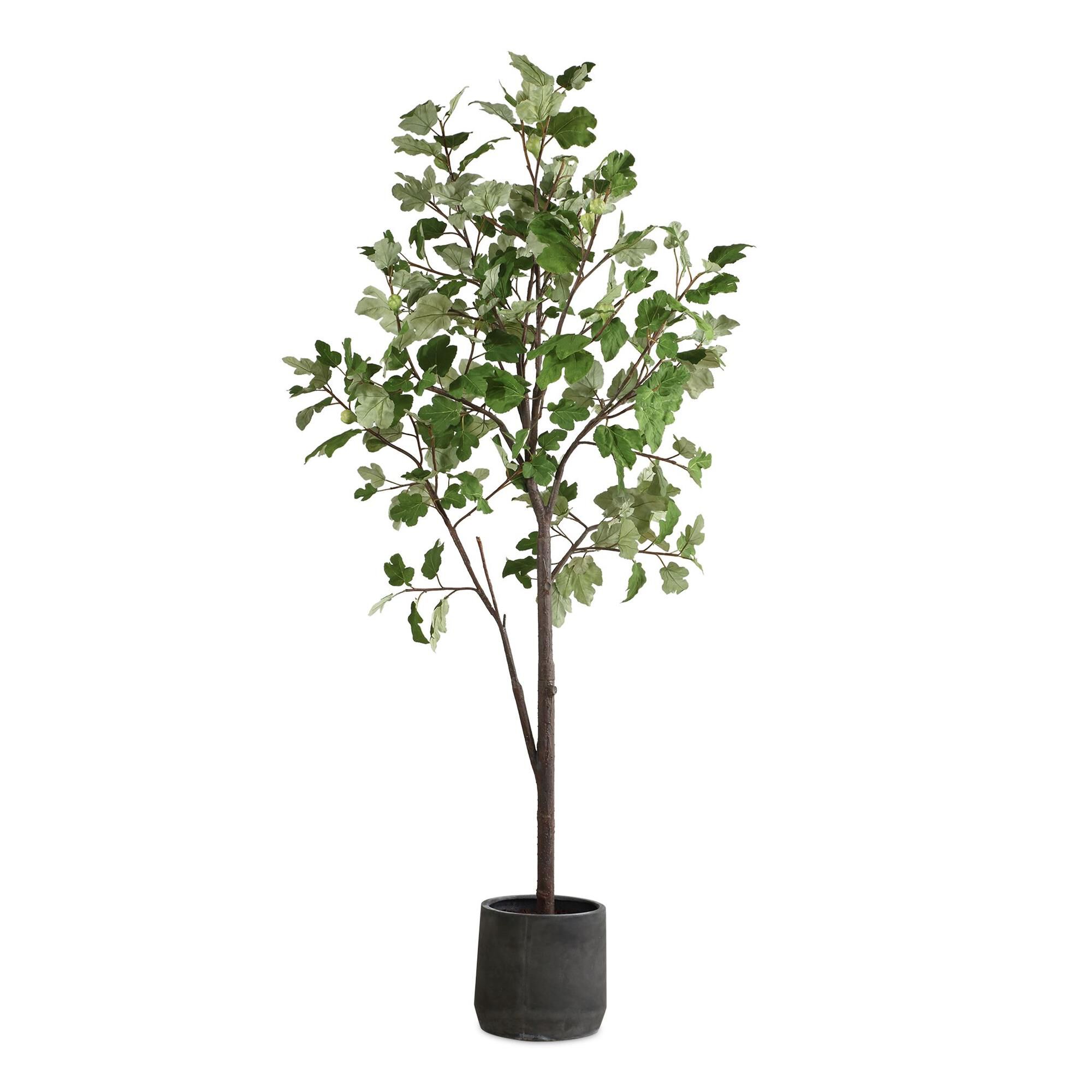 Constance Lael-Linyard Eden 108 Inch Botanical by Uttermost