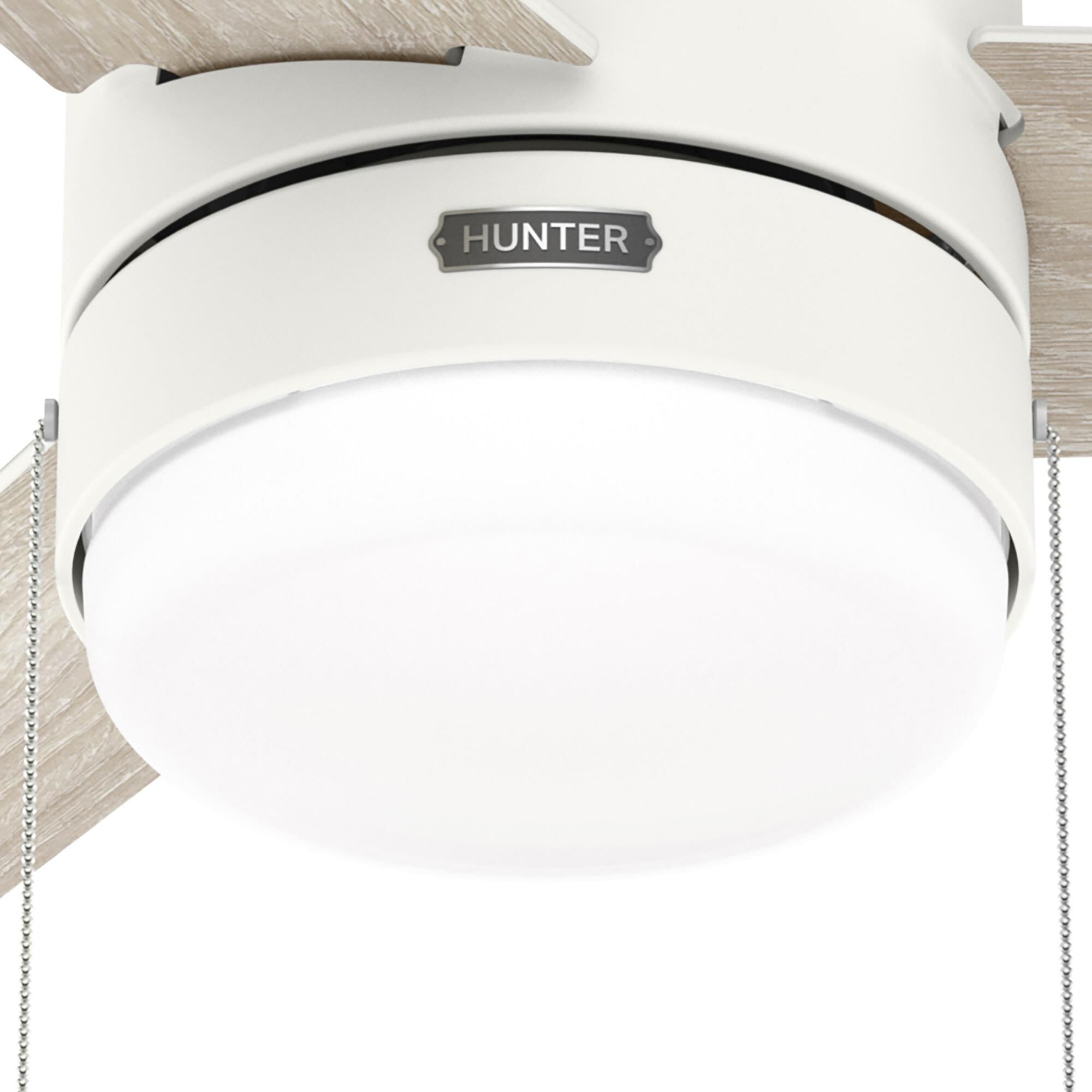 Brunner 52 Inch Ceiling Fan with Light Kit by Hunter Fan