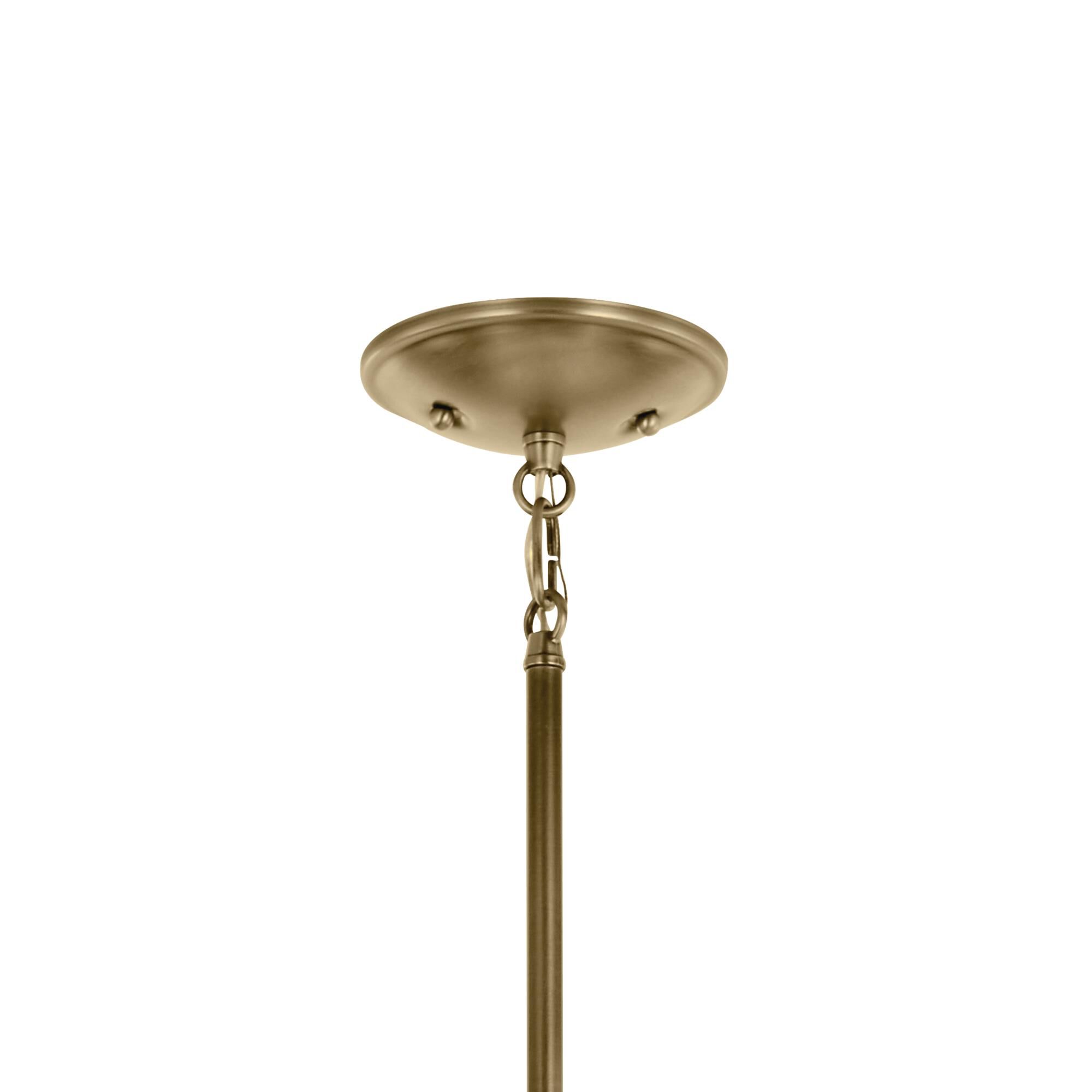 Shailene 24 Inch Chandelier,