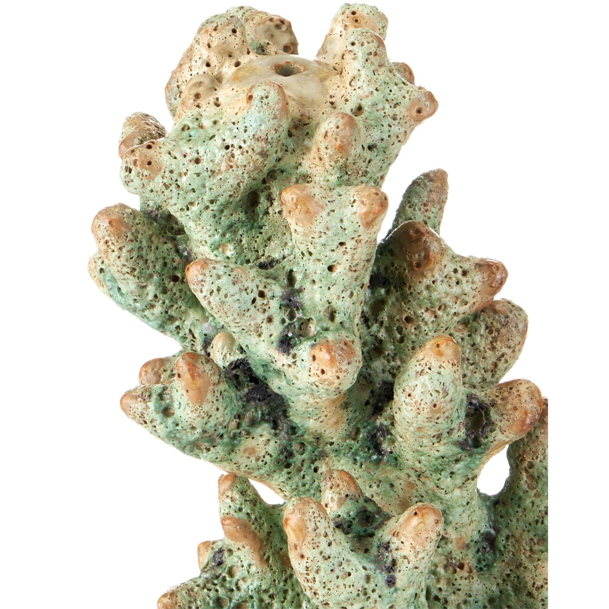 Staghorn Sculpture,