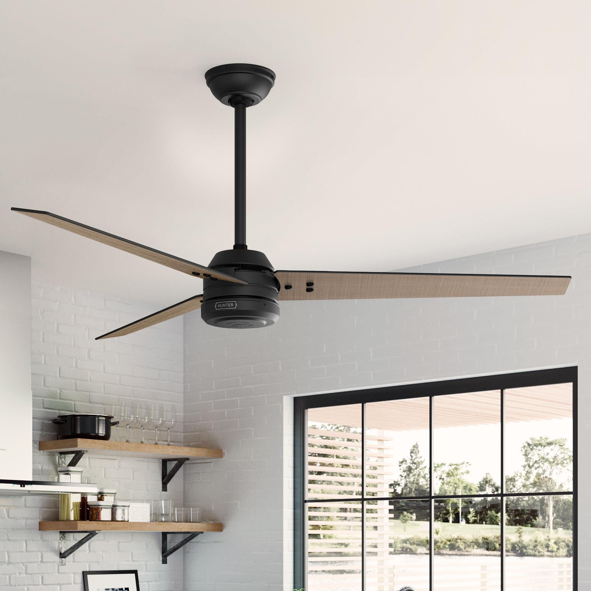 Cassius 60 Inch Ceiling Fan by Hunter Fan