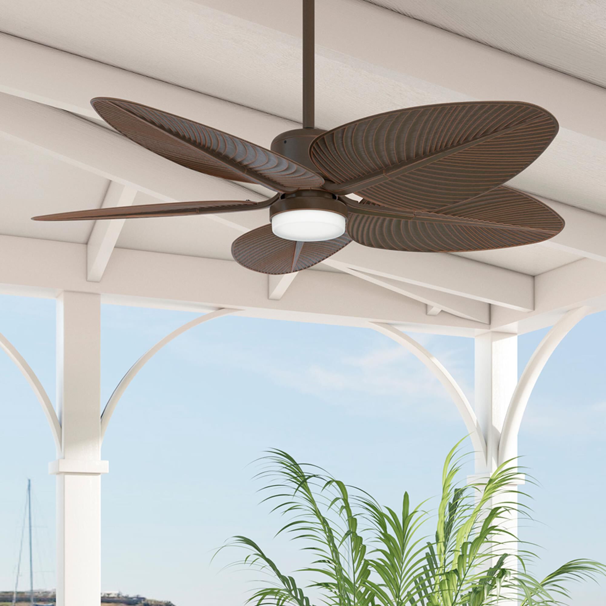 Coveview 52 Inch Ceiling Fan with Light Kit by Casablanca Fan Company