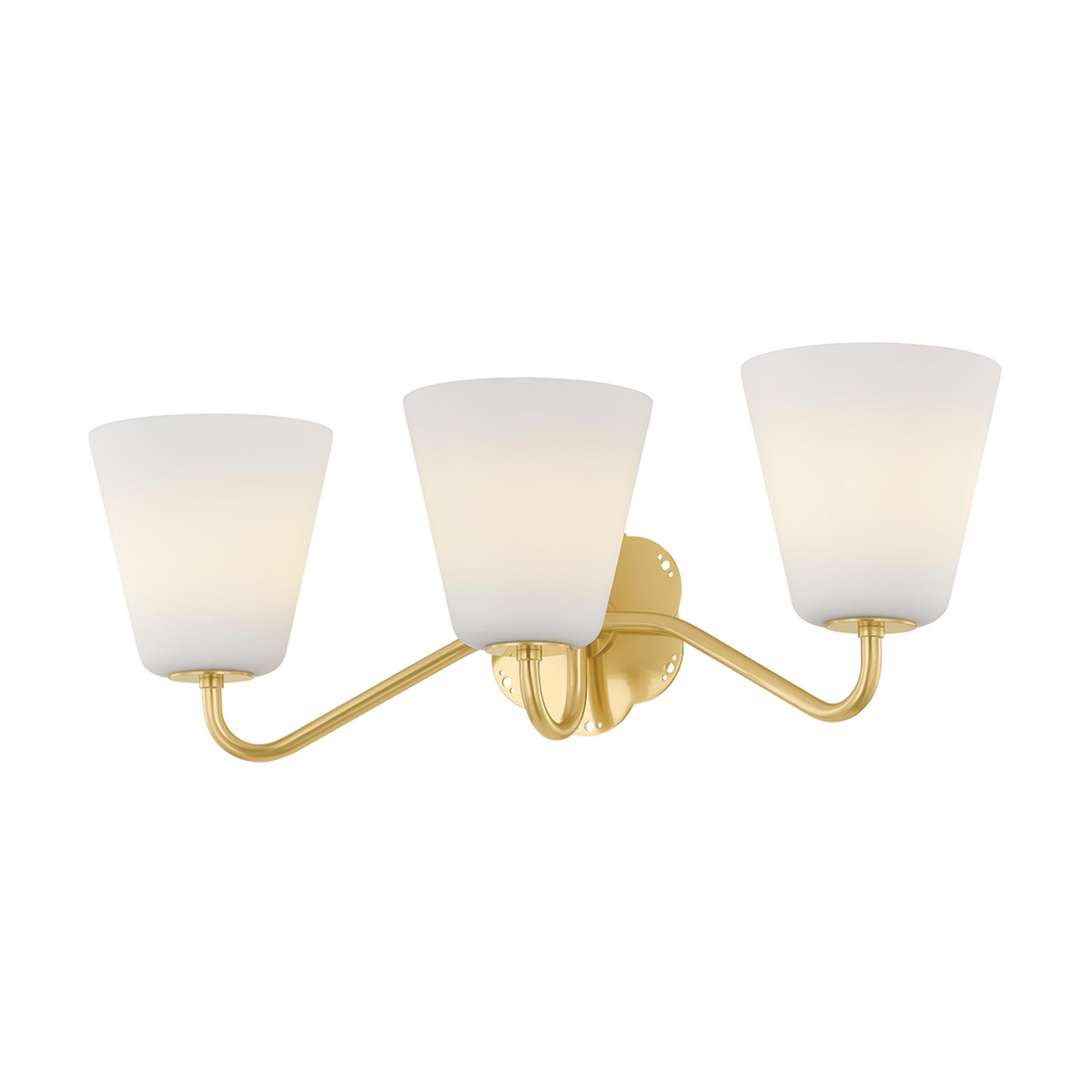 Leonella 24 Inch 3 Light Bath Vanity Light,