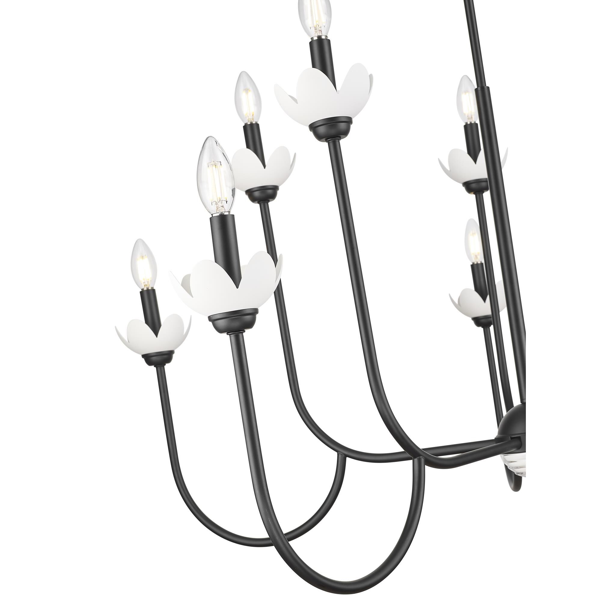 Shown in Matte Black finish and Clear Ribbed glass and Clear Ribbed shade