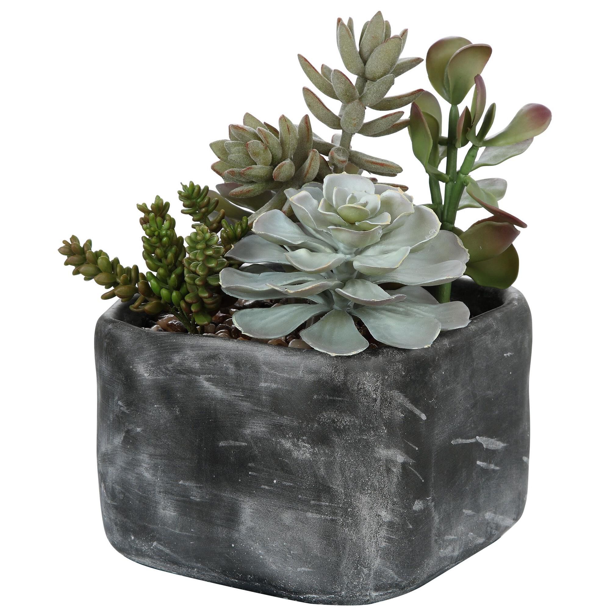 Alverio Botanical by Uttermost