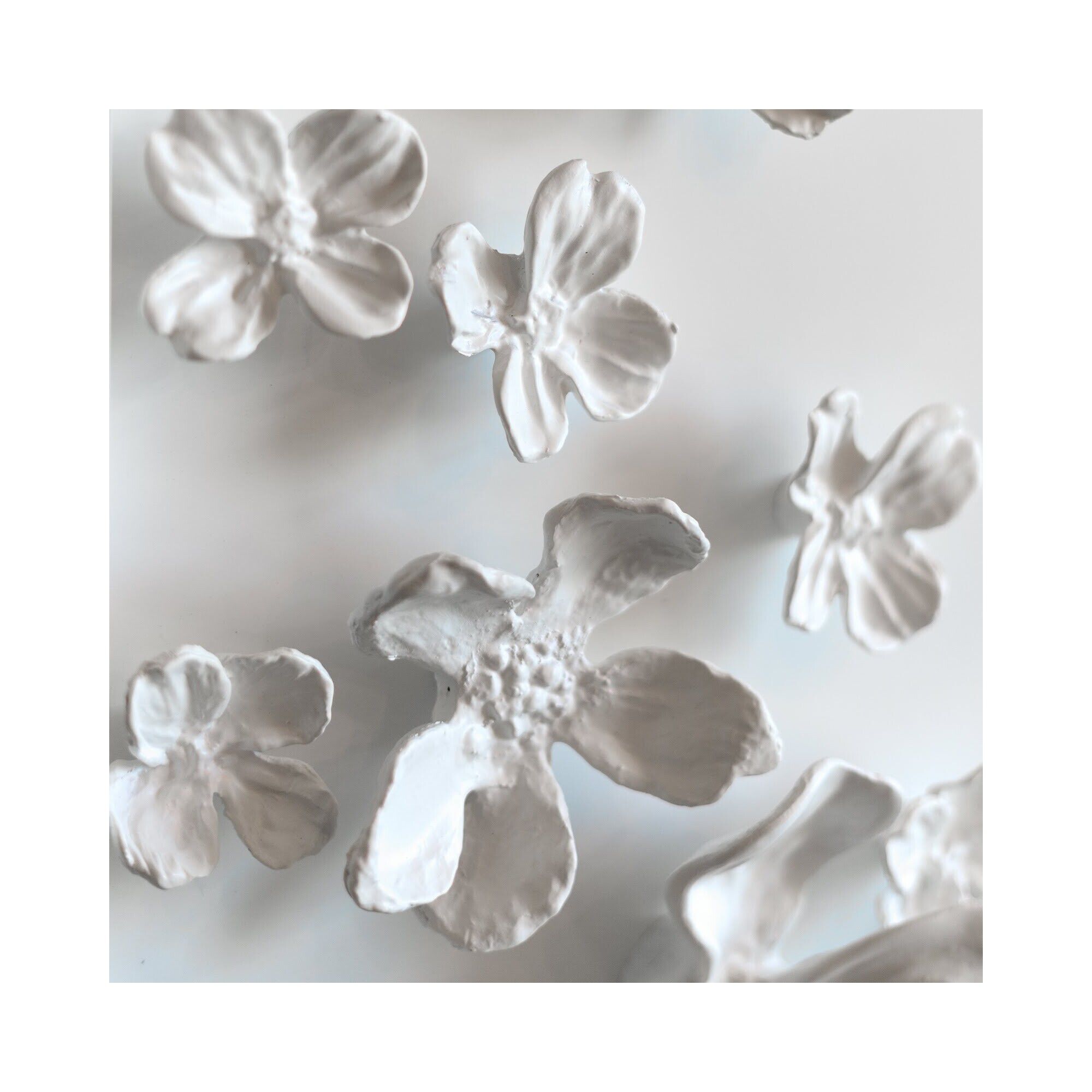 Dogwood Bouquet II Alternative Wall Art,