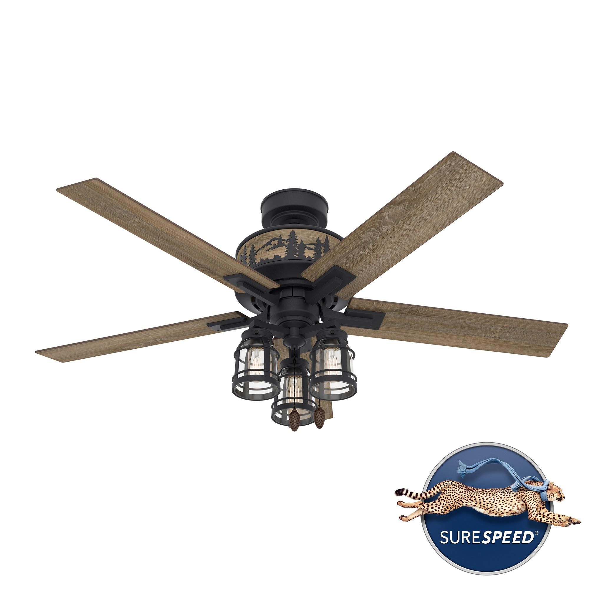 Vista 52 Inch Ceiling Fan with Light Kit by Hunter Fan