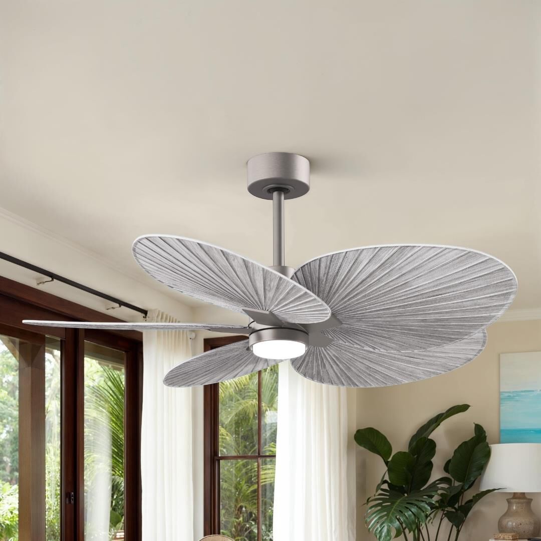Alessandra Tropical Outdoor Rated 48 Inch Ceiling Fan with Light Kit by Matthews Fan Company