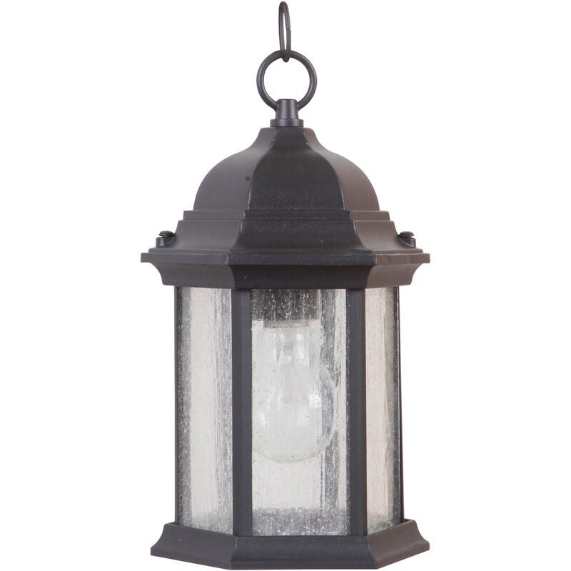 Hex Style 11 Inch Tall 1 Light Outdoor Hanging Lantern by Craftmade