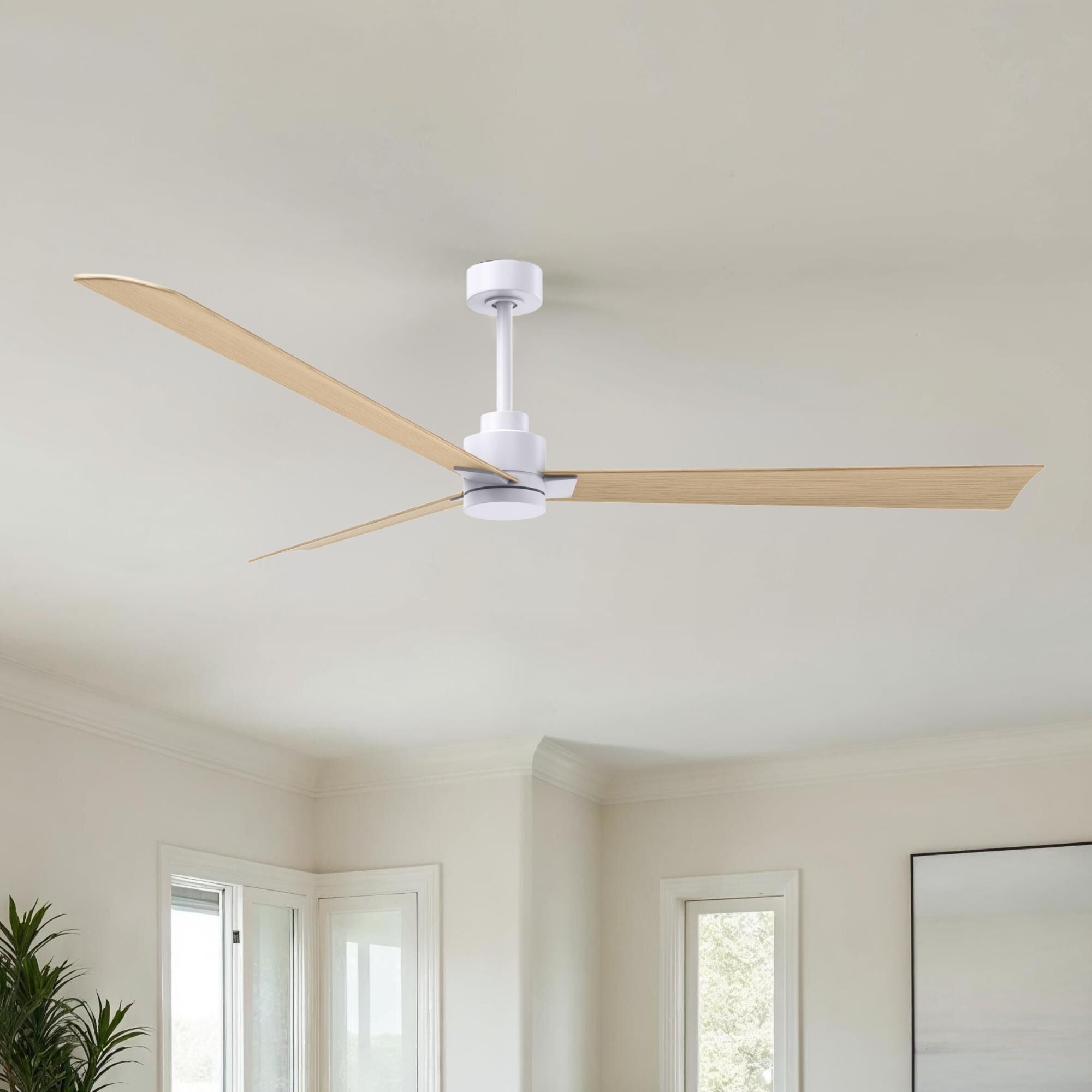 Alessandra 72 Inch Ceiling Fan by Matthews Fan Company